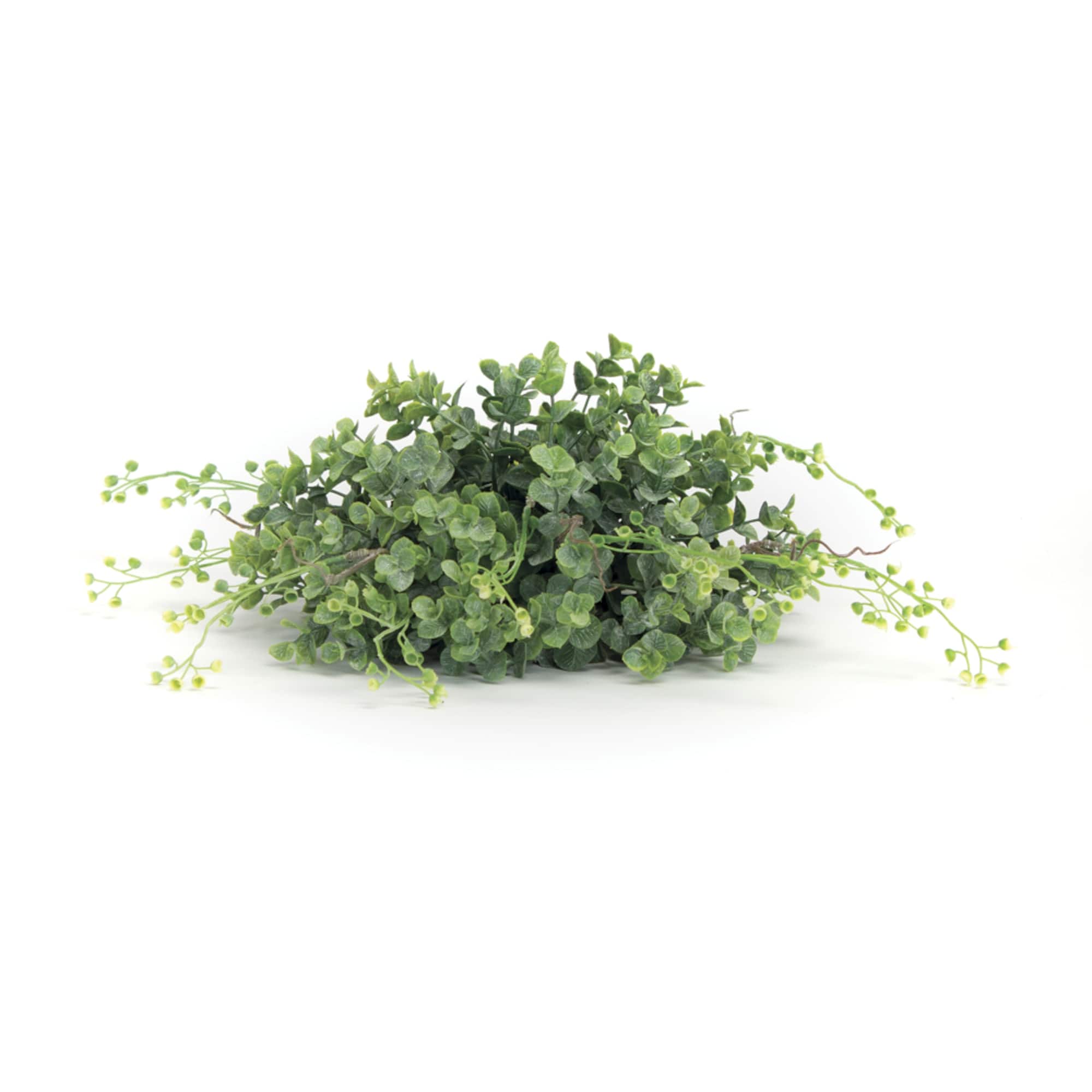 10" Boxwood Half Orb Set