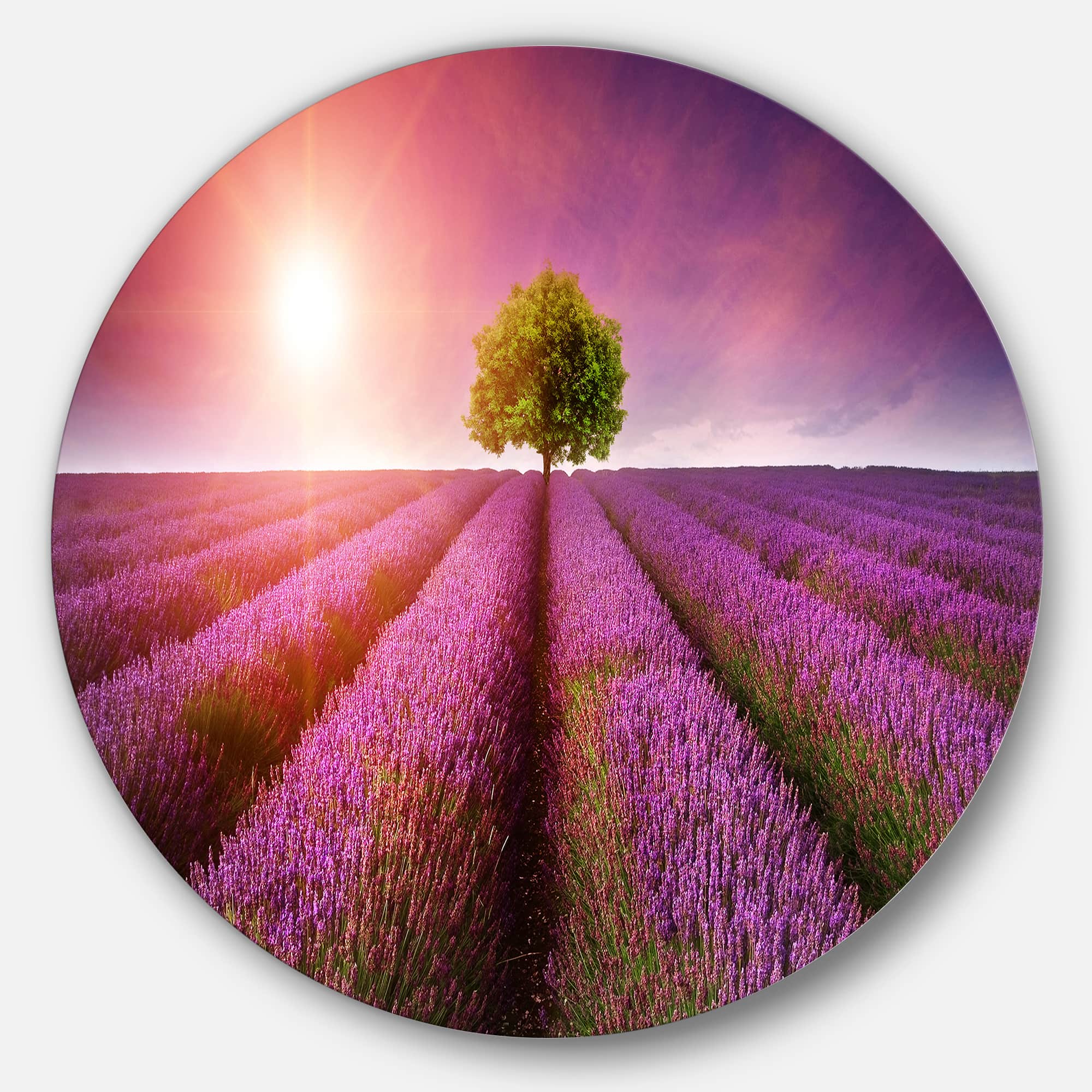Designart - Purple Sky over Stunning Lavender Field' Floral Metal Circle Wall Art