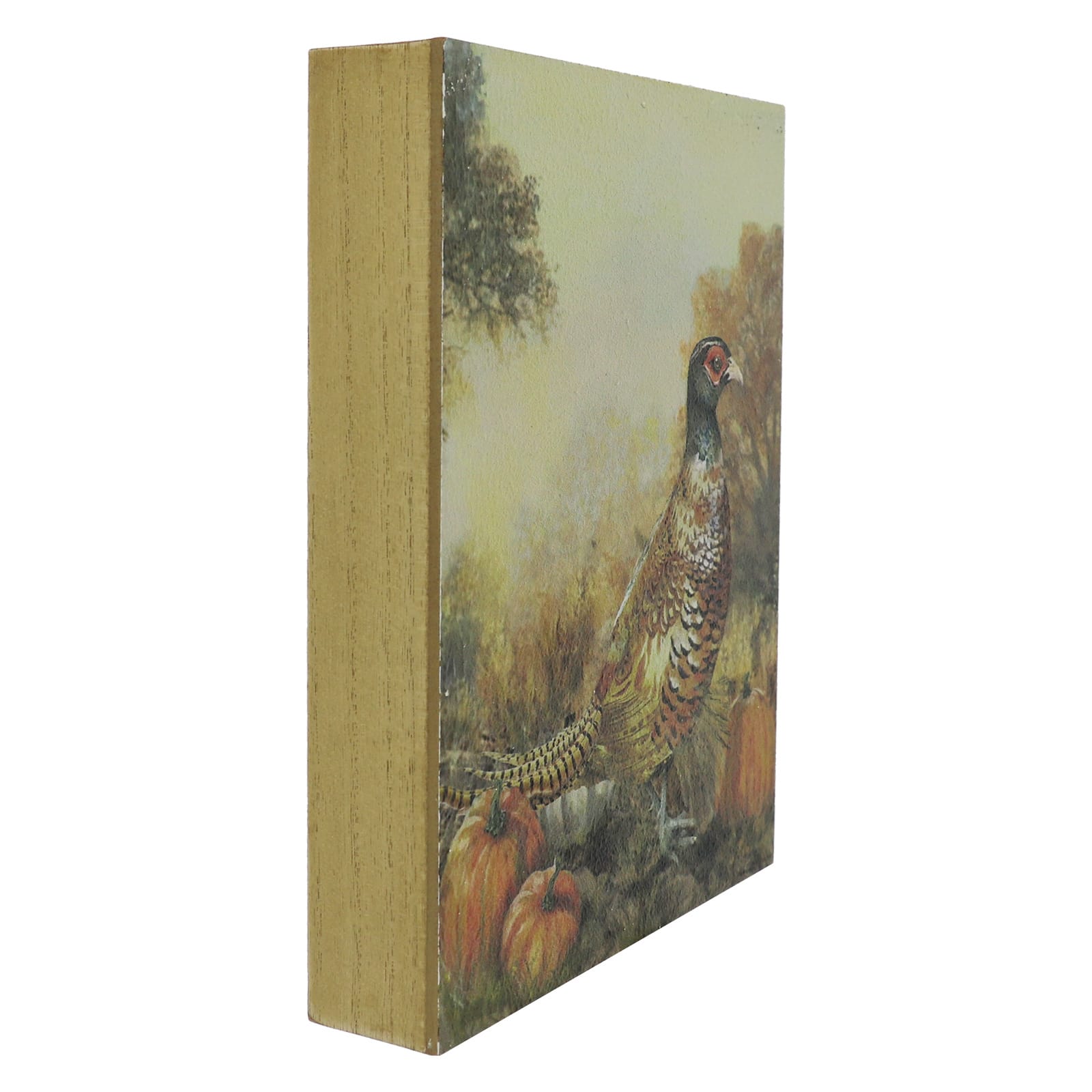 9" Phesant with Pumpkins Block Tabletop Décor by Ashland®