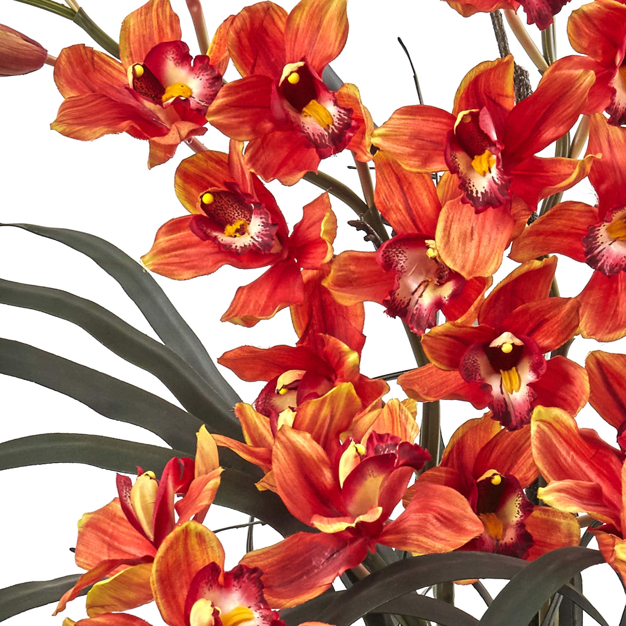 3ft. Boat Orchid Arrangement in Black Vase
