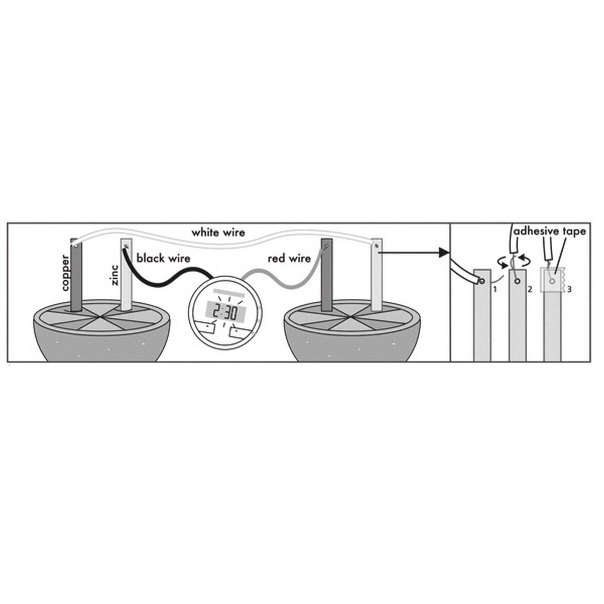 Toysmith® 4M Kids Labs Lemon Clock Kit