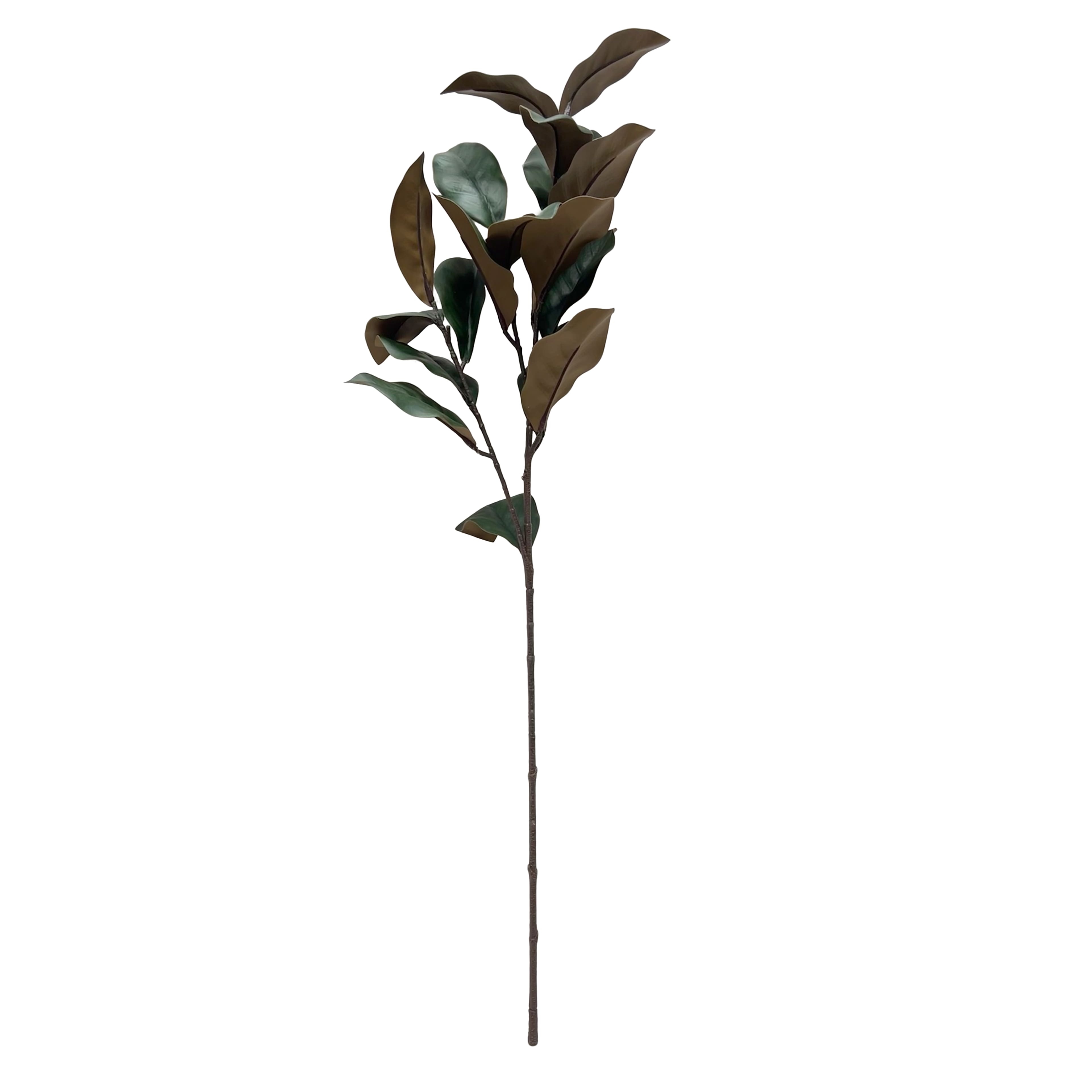 35.5" Magnolia Leaves Real Touch Stem by Ashland®
