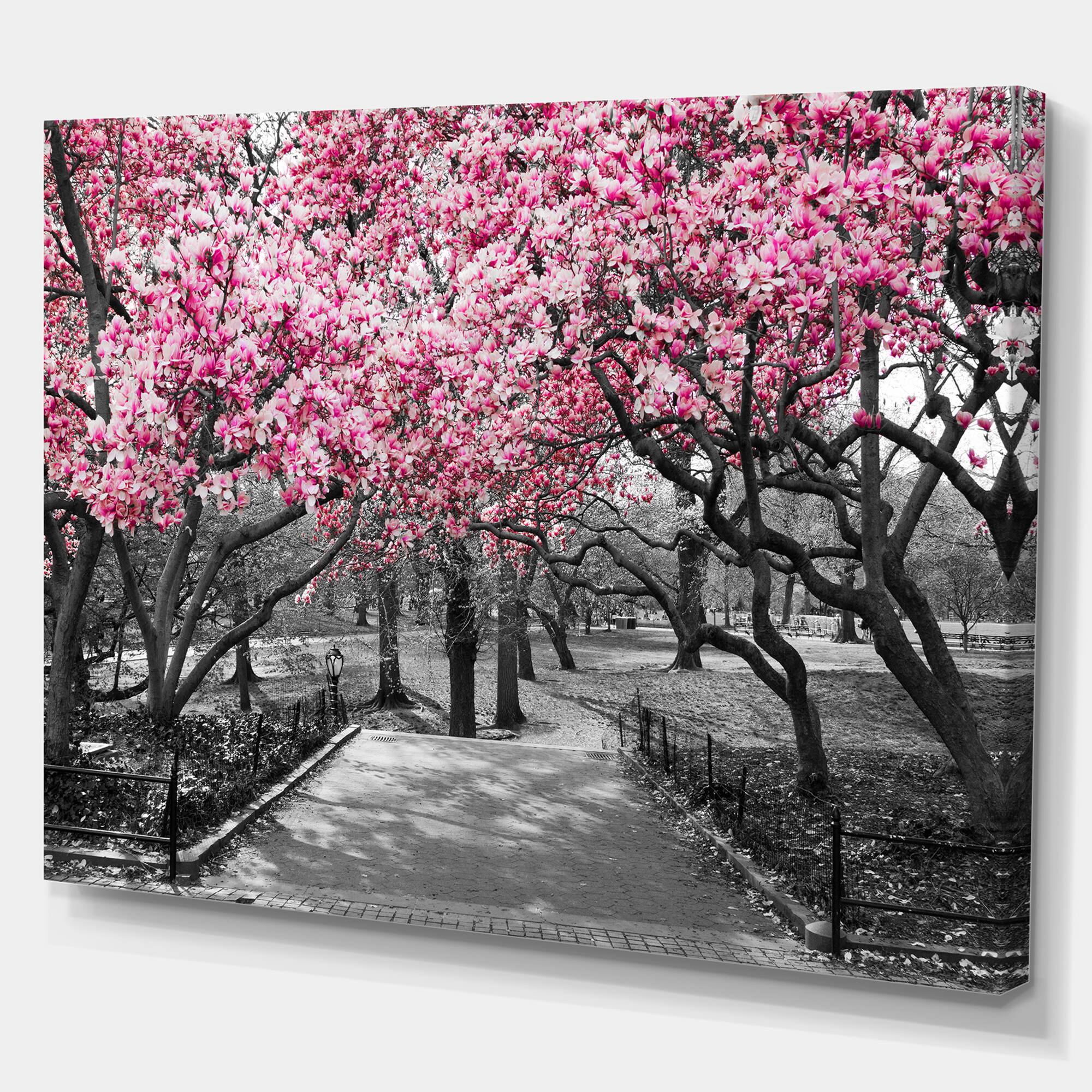 Designart - Cherry Blossoms - Landscapes Floral Photographic on wrapped Canvas
