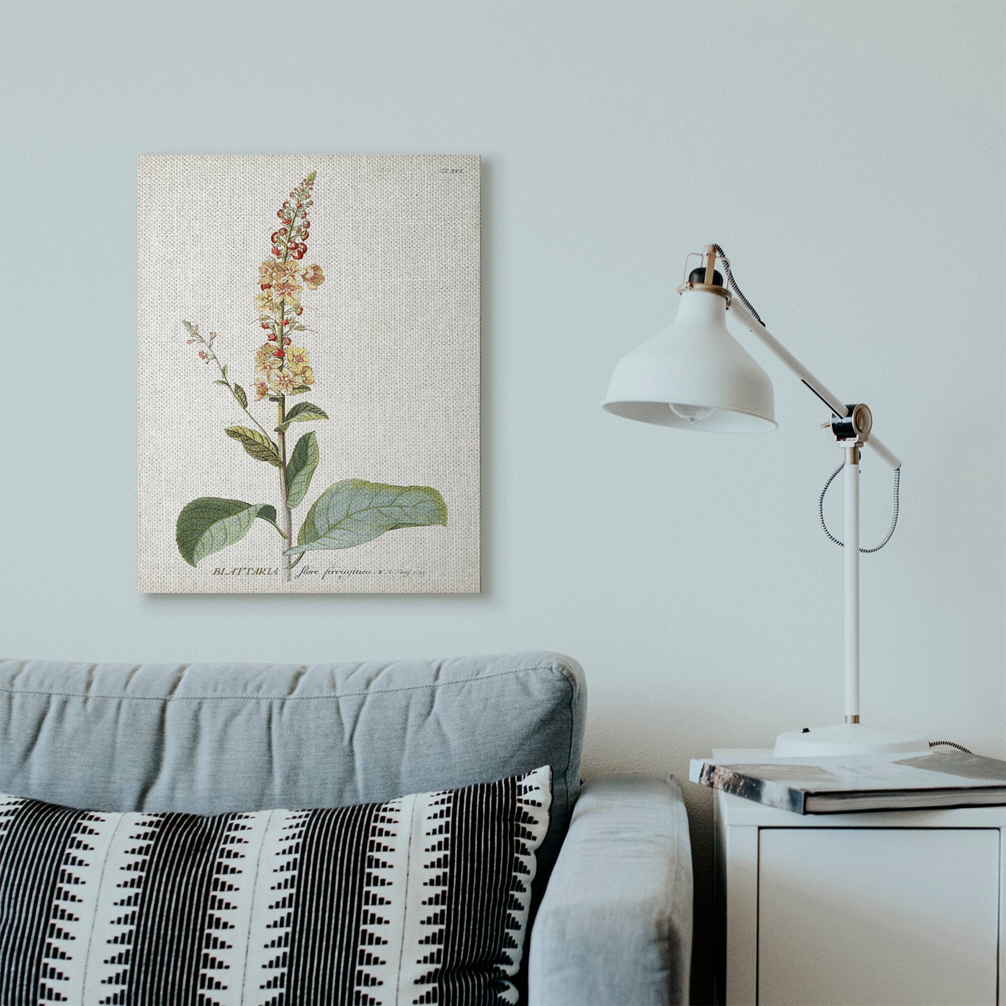 Stupell Industries Botanical Flower Canvas Wall Art
