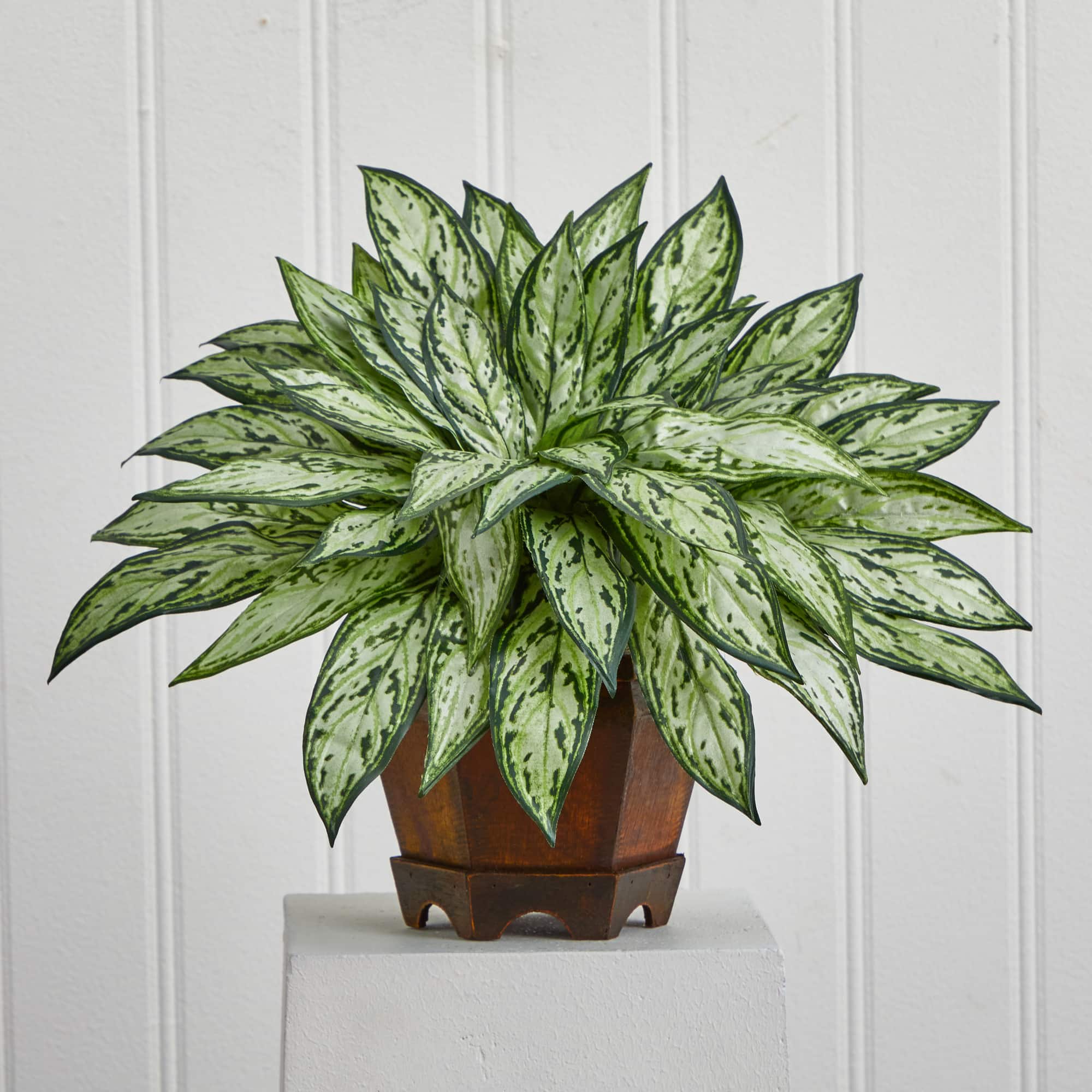 14" Triple Silver Queen Silk Plant in Hexagon Vase
