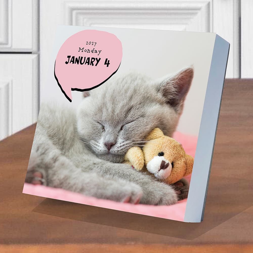 2027 Cat A Day Daily Desktop Calendar