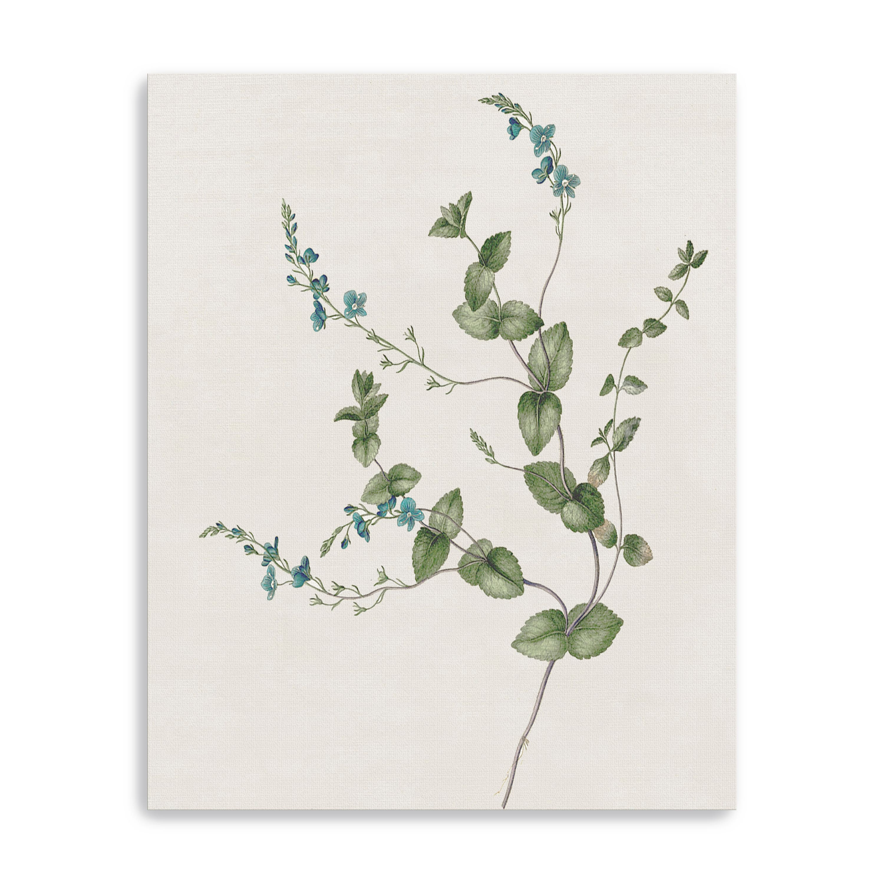 Blue Wispy II Canvas Giclee