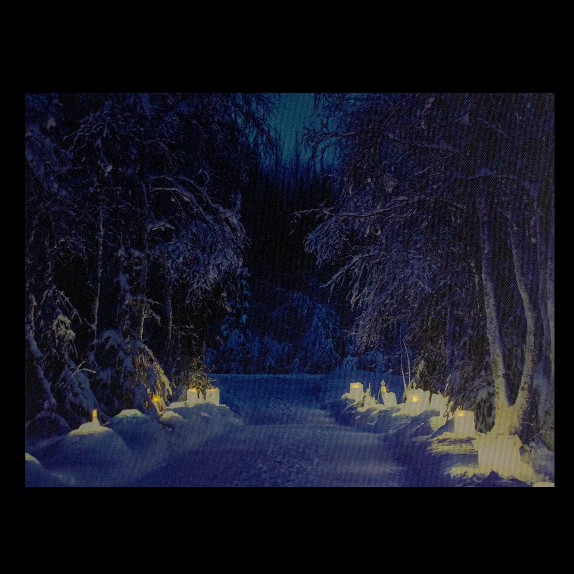 LED Lighted Nighttime In The Woods Winter Scene Canvas Wall Art