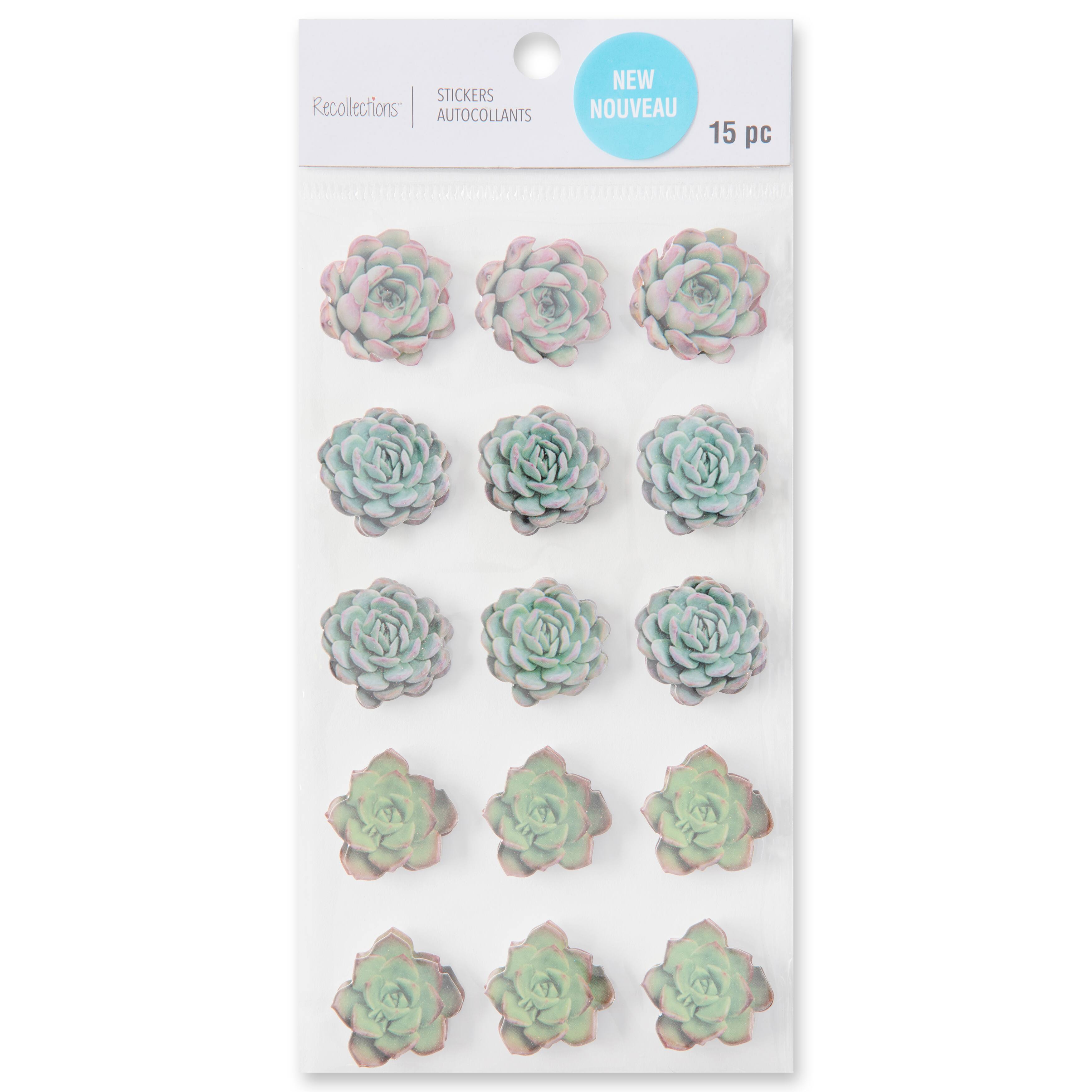 12 Packs: 15 ct. (180 total) Succulent Stickers by Recollections™