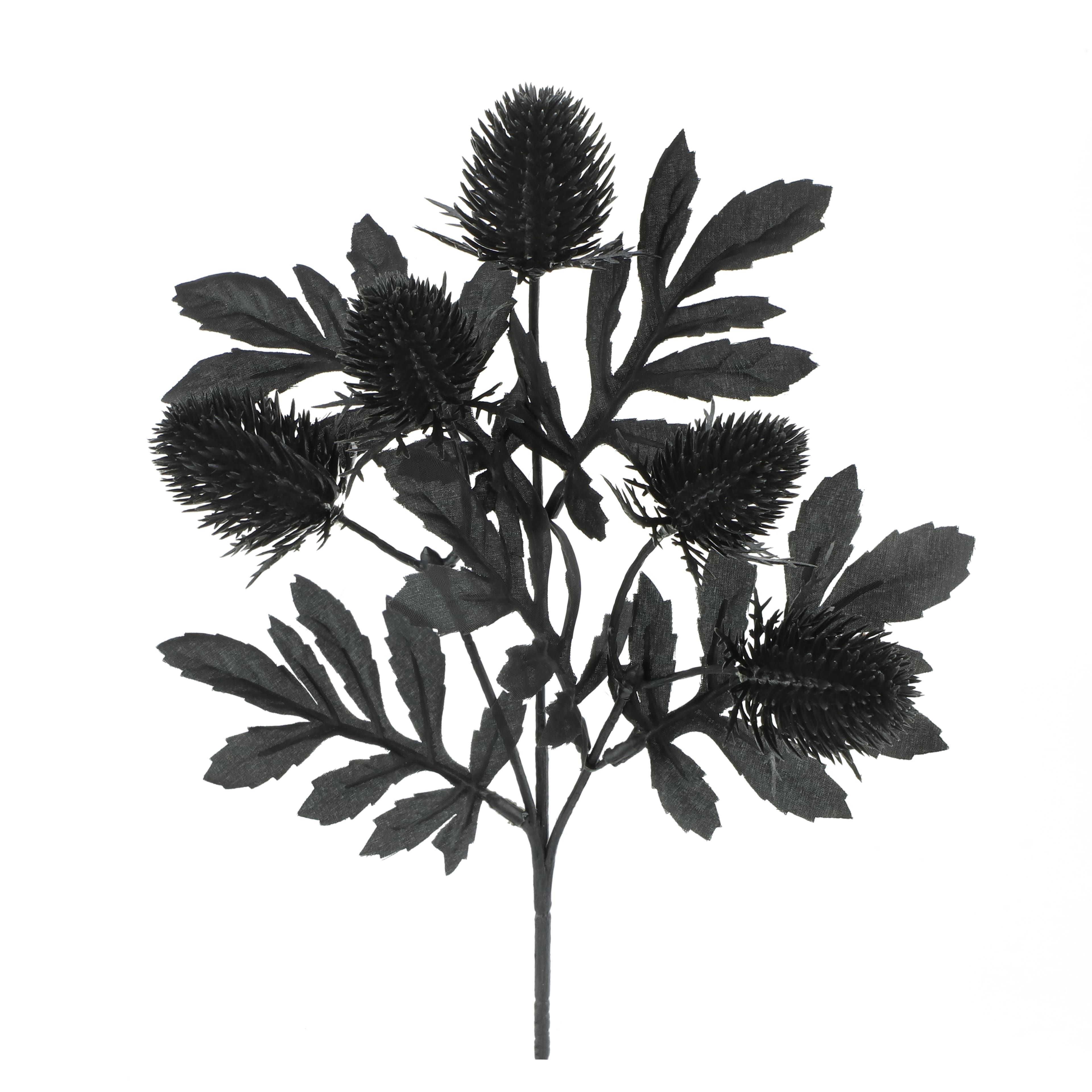 10" Black Thistle Pick by Ashland®