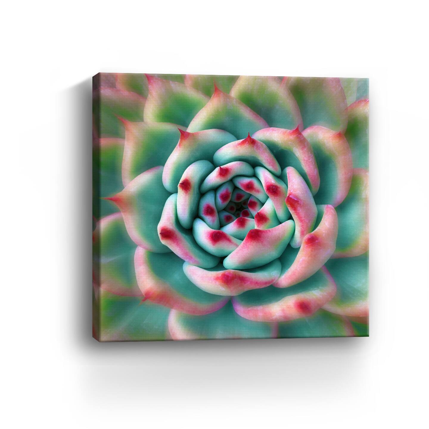 Lumaprints Deep Red Tips Canvas Giclée Wall Art