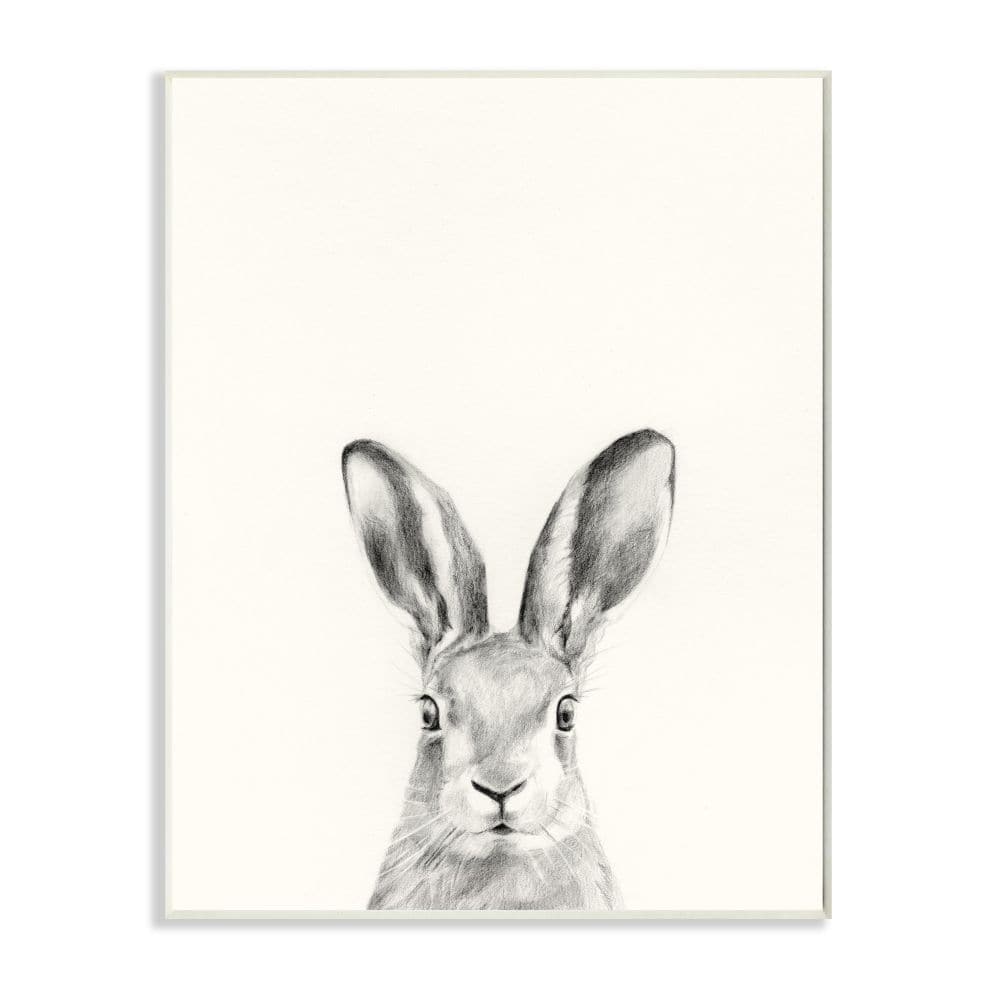 Stupell Industries Bunny Rabbit Portrait Grey Drawing Design Wood Wall Plaque