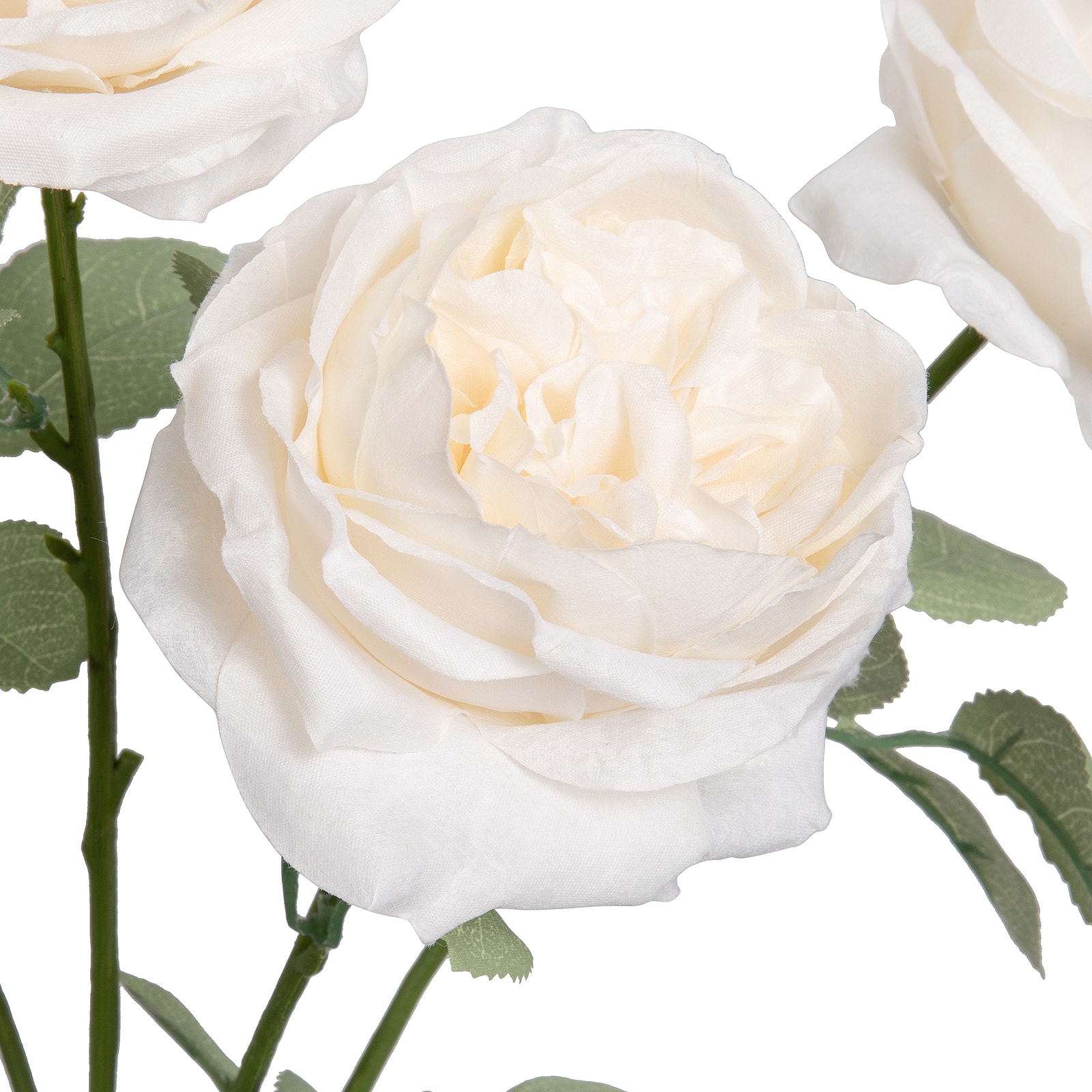 18.5" Cabbage Rose Deluxe Bush by Ashland