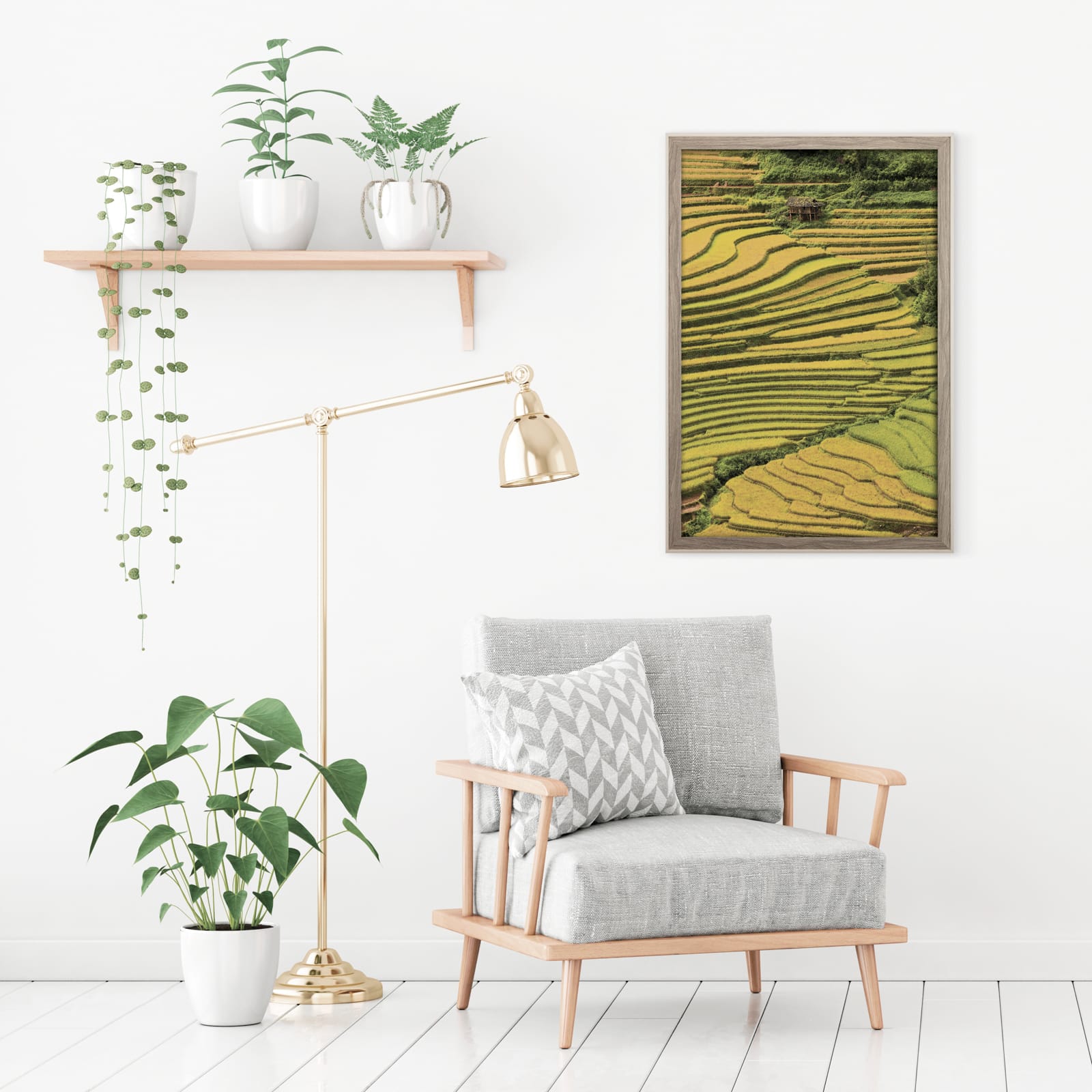 6 Pack: Graywash & White Frame