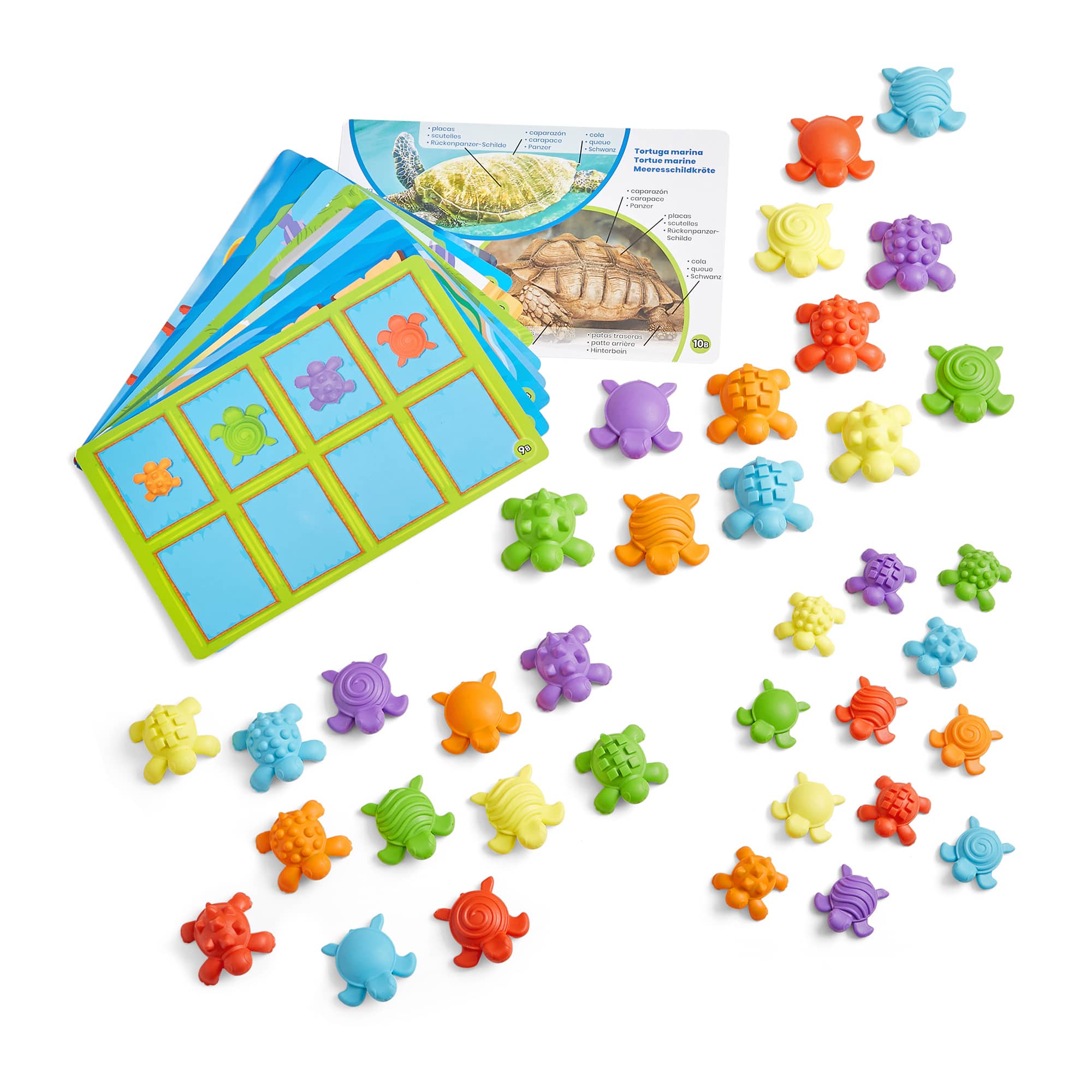 hand2mind® Tactile Turtles Set