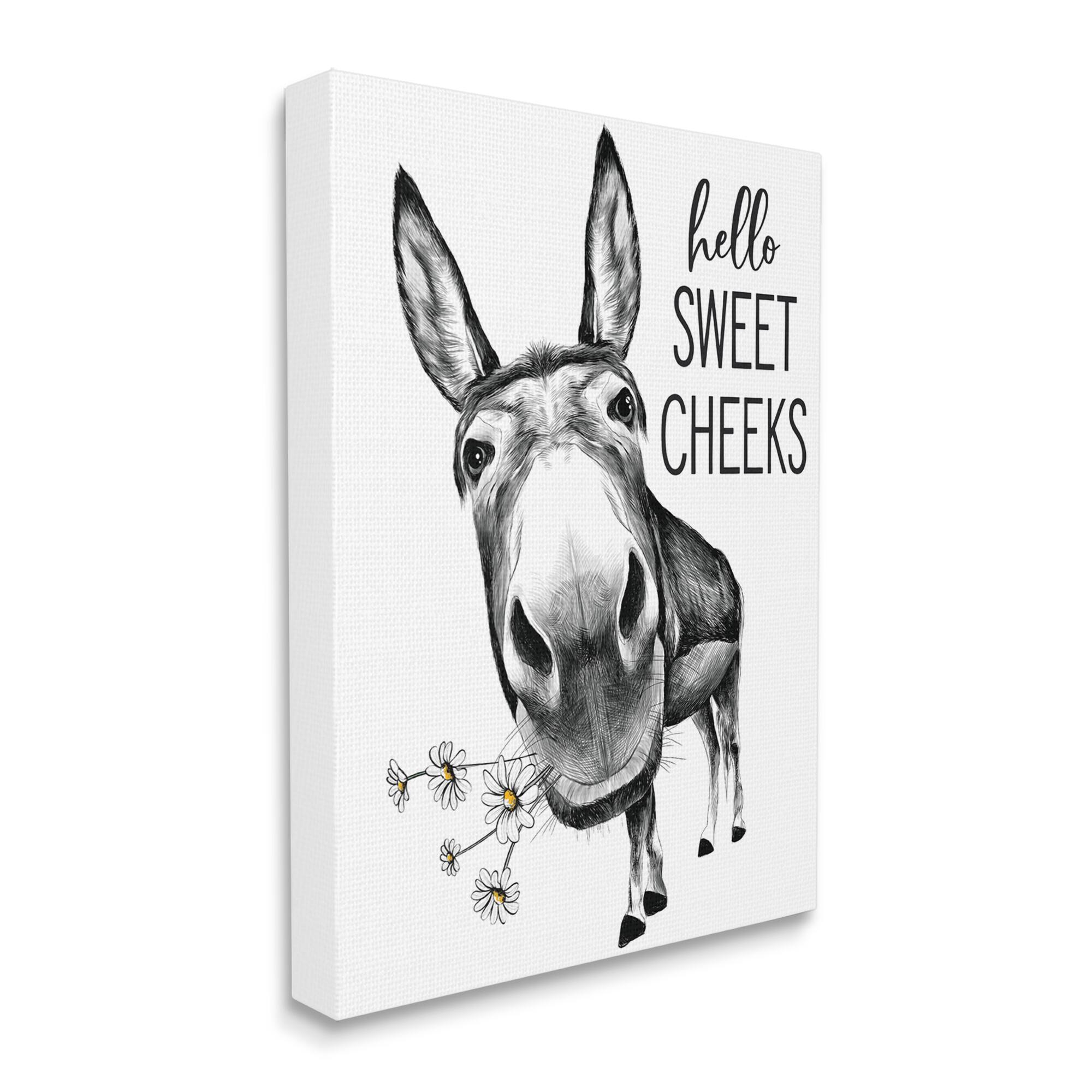 Stupell Industries Hello Sweet Cheeks Animal Humor Donkey Daisies Canvas Wall Art