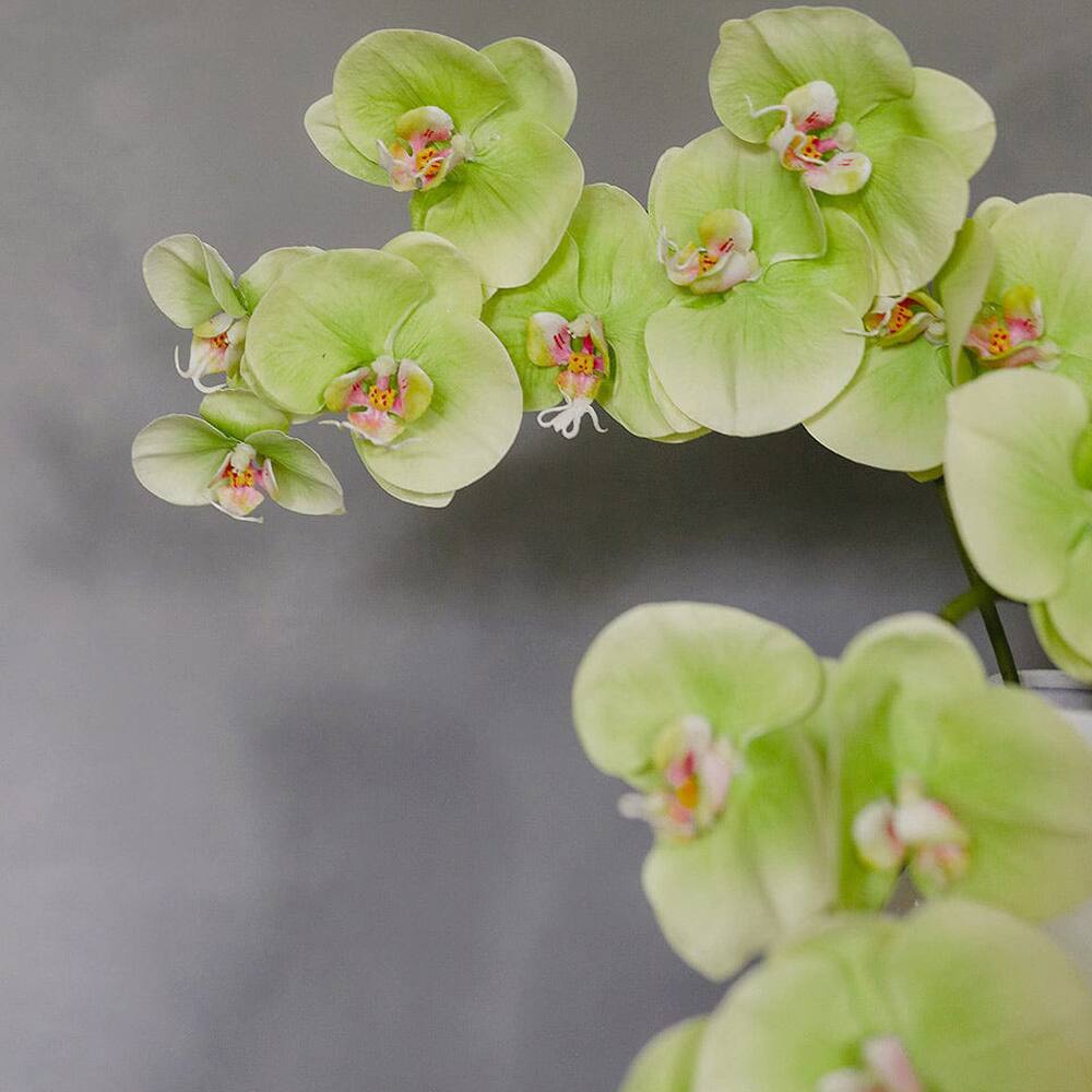Prestige Botanicals 33" Green Faux Phalaenopsis Orchid Stem