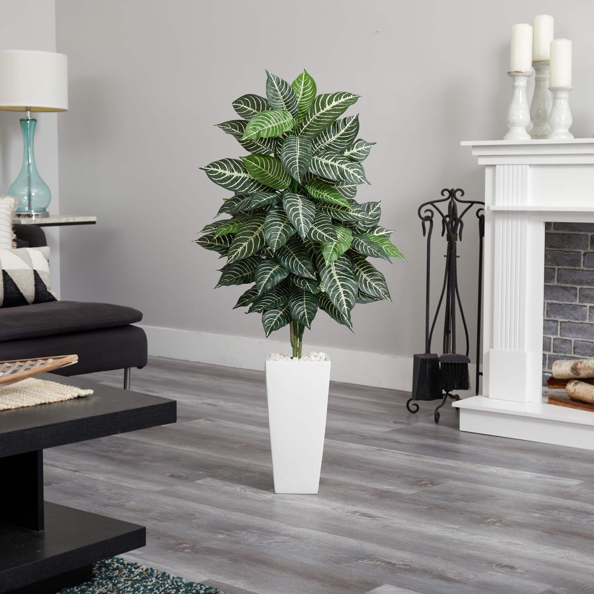 4ft. Zebra Plant in White Tower Planter