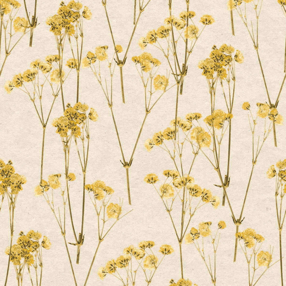 Designs Direct Spry Flower Wallpaper