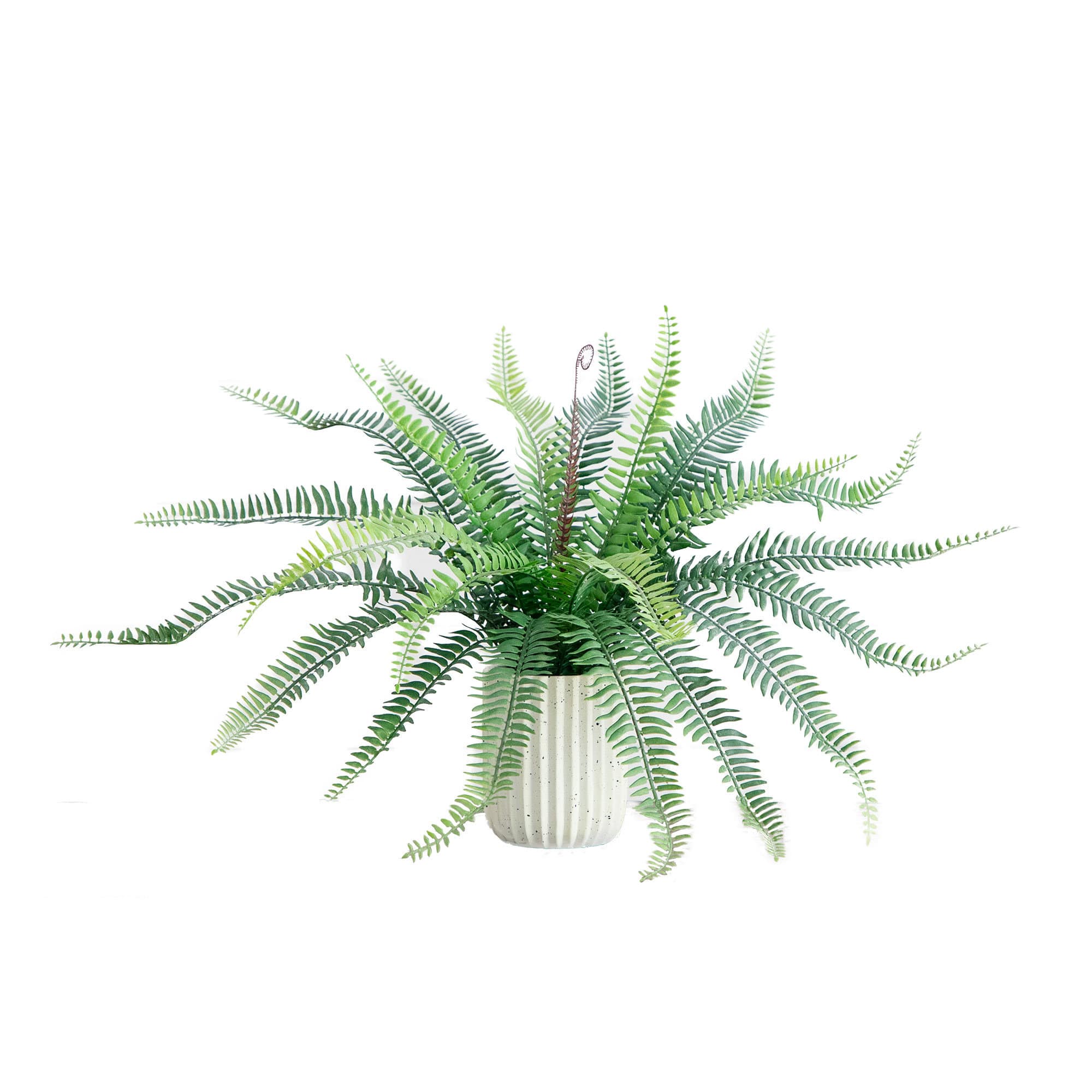 16" Artificial Boston Fern Plant in Decorative Cement Planter