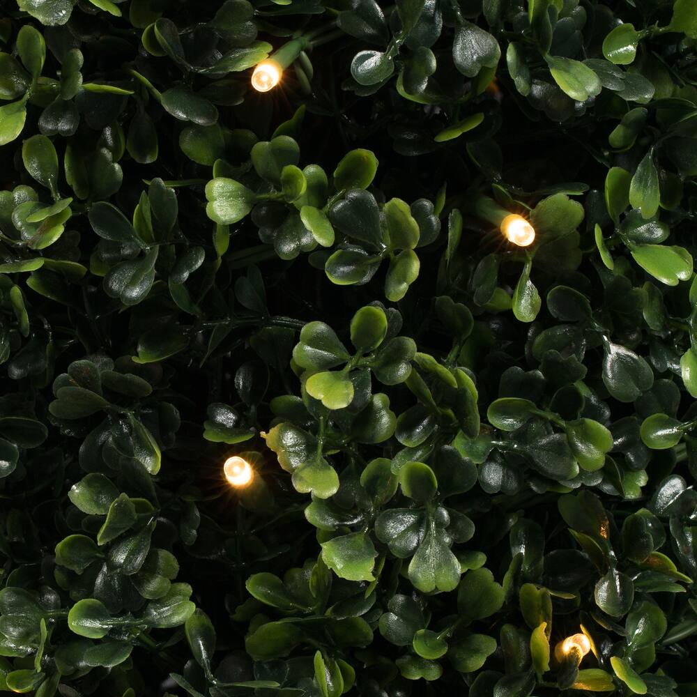 5ft. Pre-Lit Potted Boxwood Cone