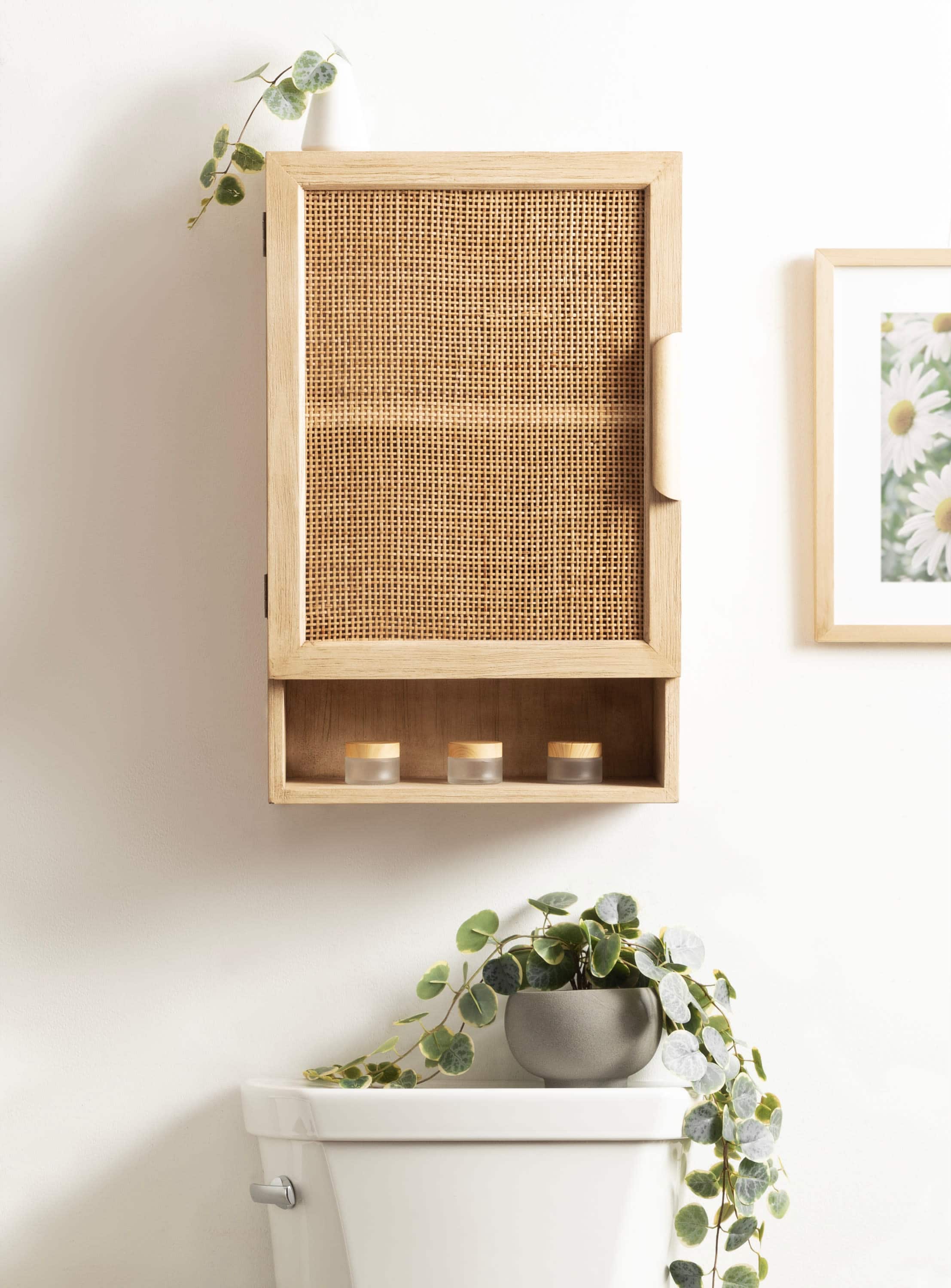 Kate and Laurel Ori Rattan Wall Cabinet with Cubby