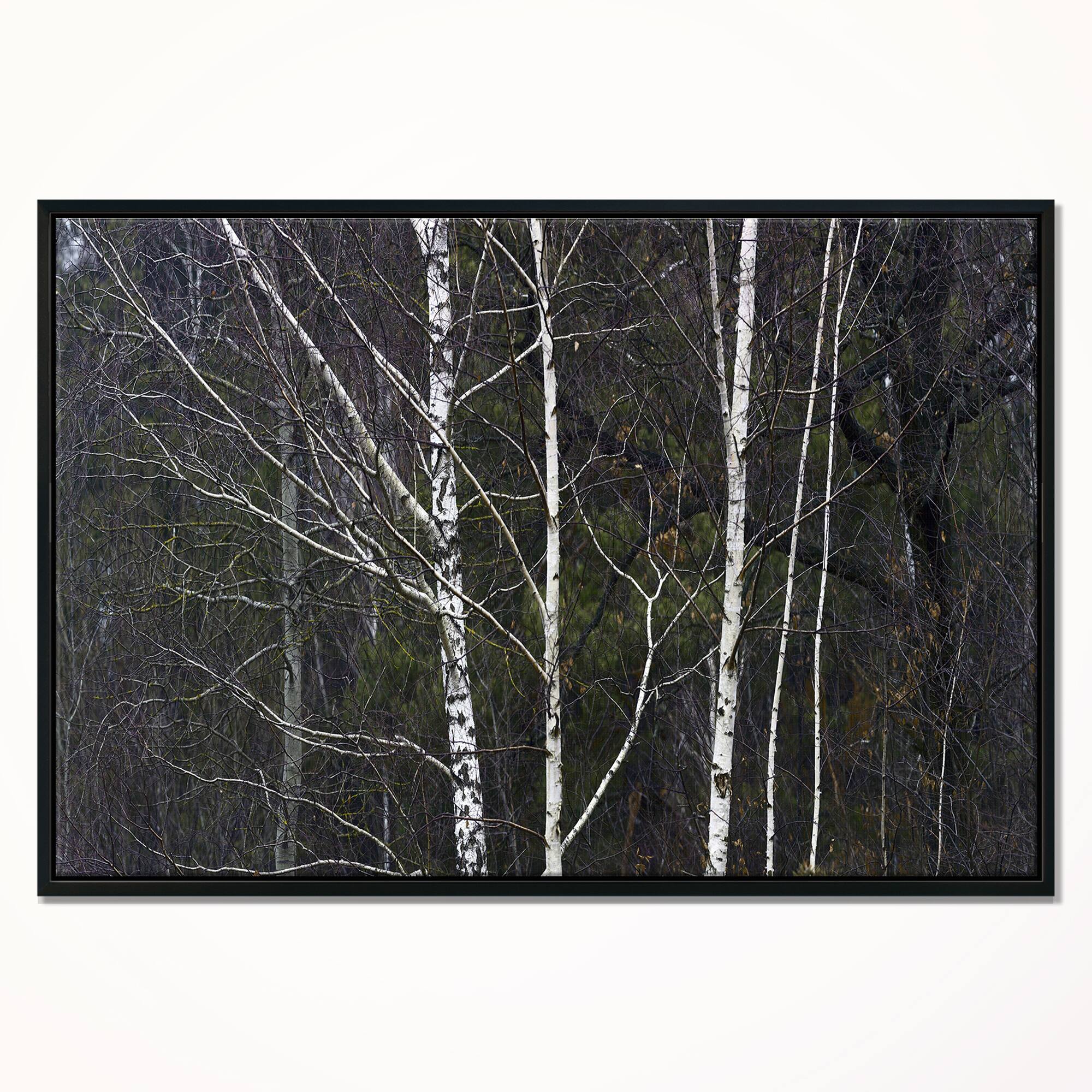 Designart - Black and White Birch Forest - Abstract Wall Art Canvas in Black Frame