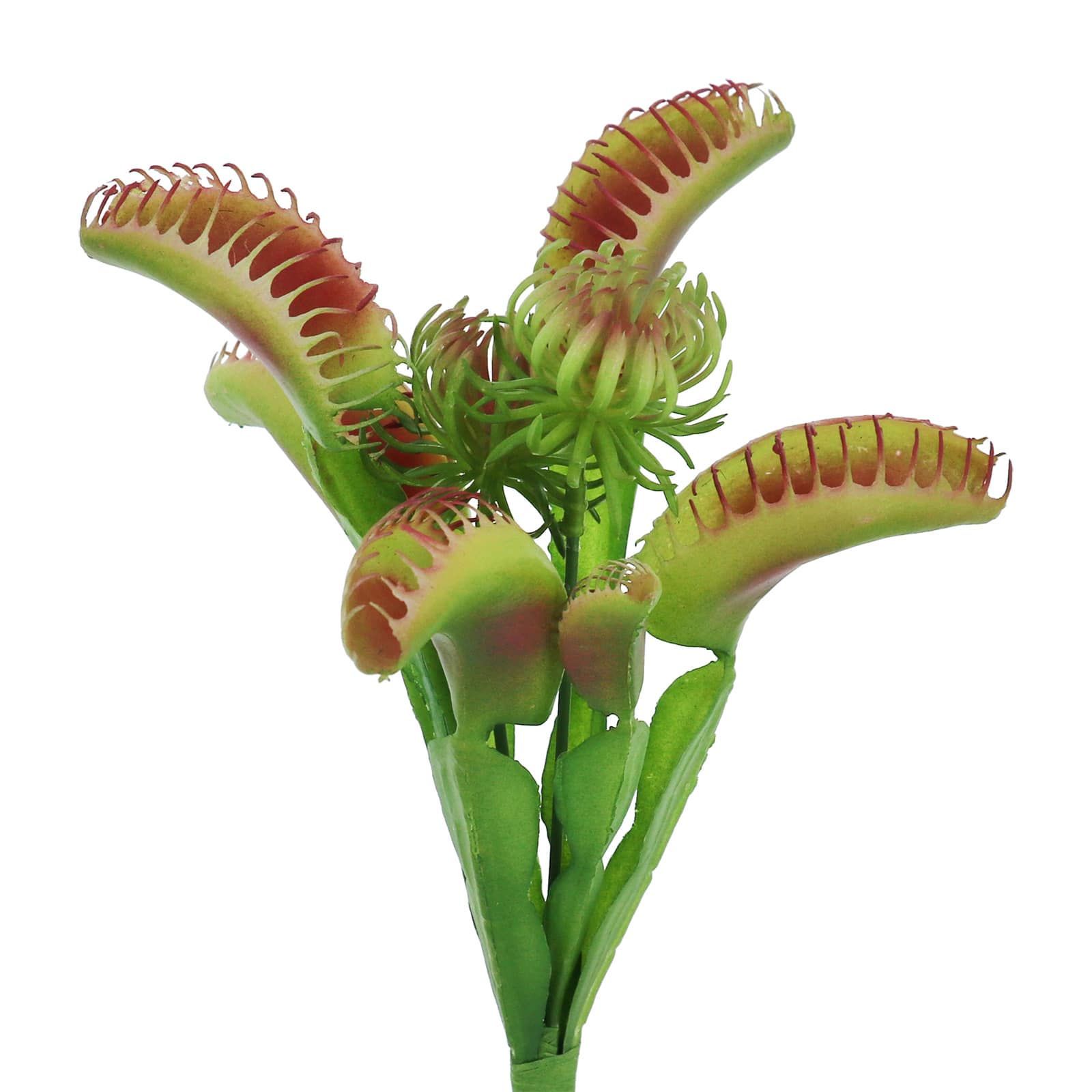 11" Venus Flytrap with Flower Pick by Ashland®