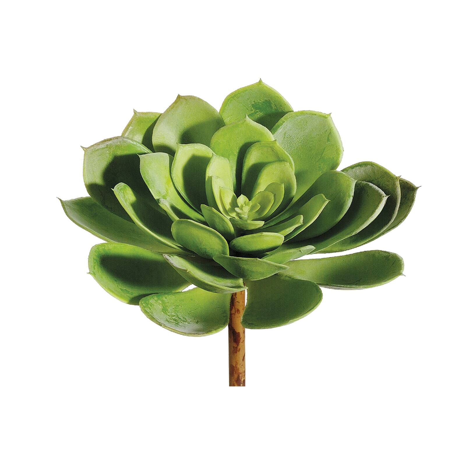 6" Soft Plastic Echeveria Pick, Green