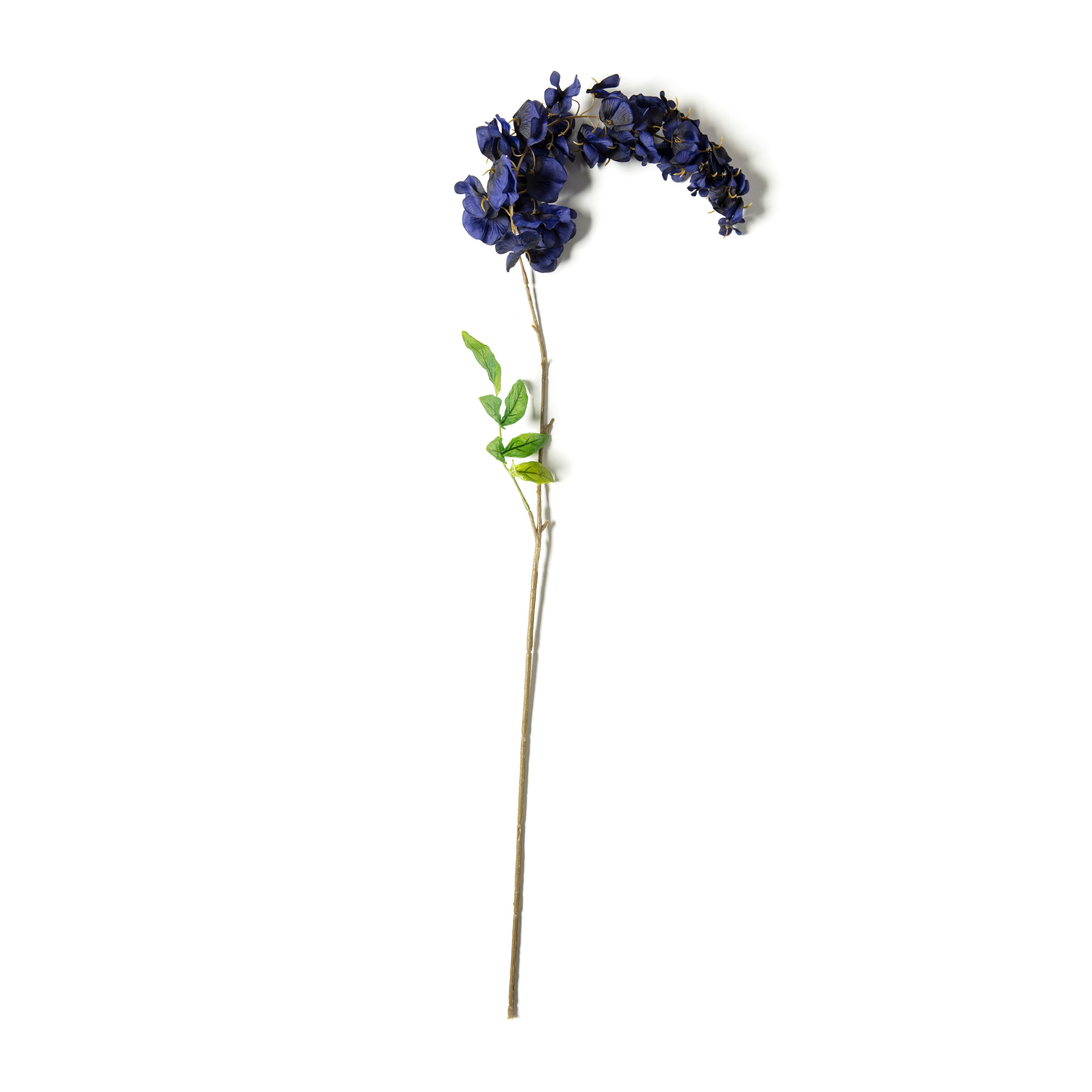 12 Pack: Dark Blue Wisteria Stem by Ashland®