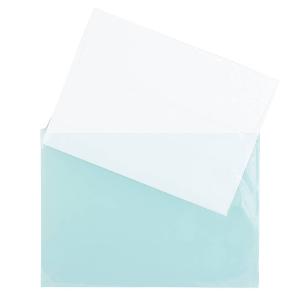 JAM Paper 5.063" x 7.188" Cello Sleeves with Self Adhesive Closures