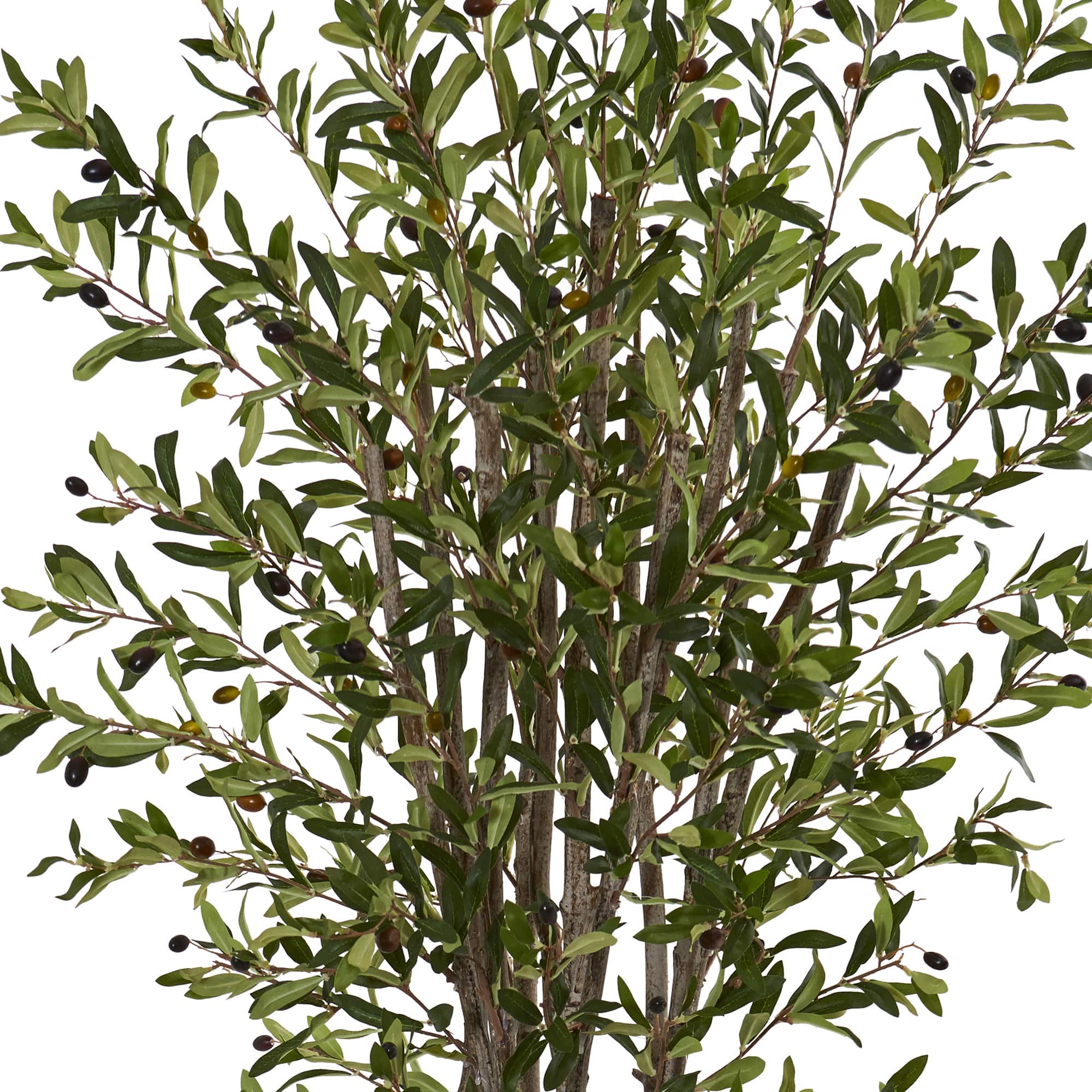 6ft. Olive Tree In White Tower Planter