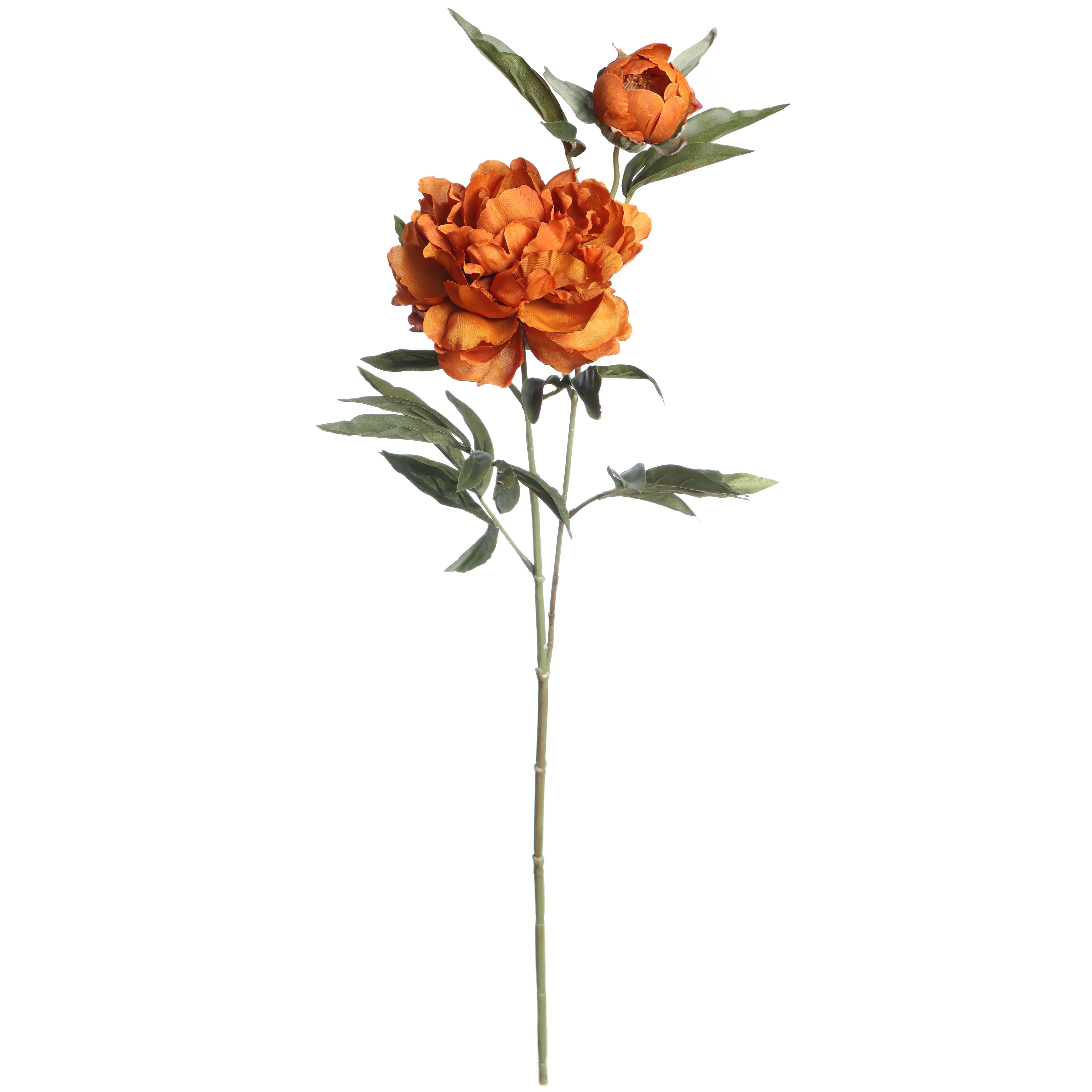 29" Orange Peony Stem by Ashland®