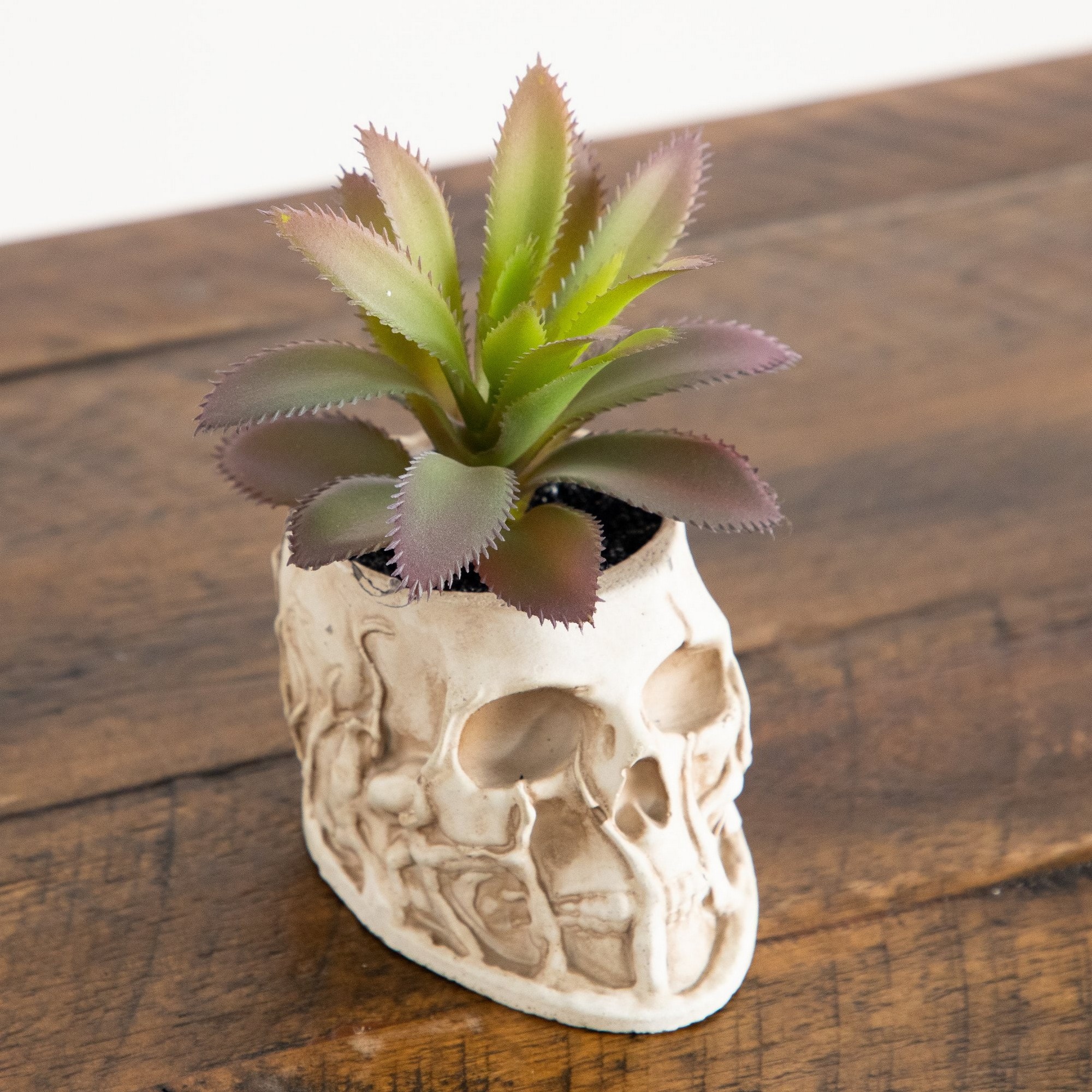 5.5" & 9" Artificial Halloween Succulent Garden in Skull Planters Set