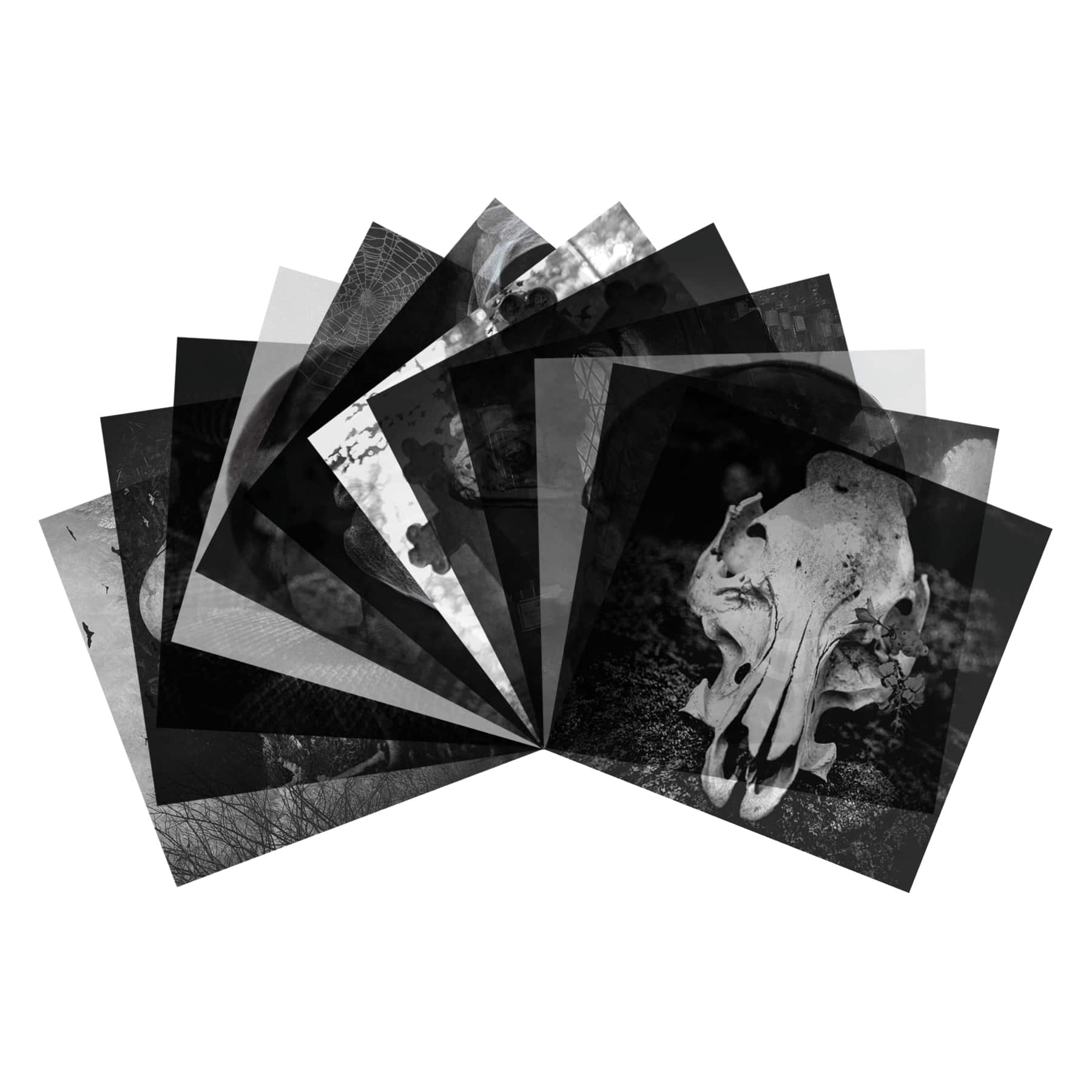 8" x 8" Haunted Halloween Acetate Pad by Recollections™, 24 Sheets