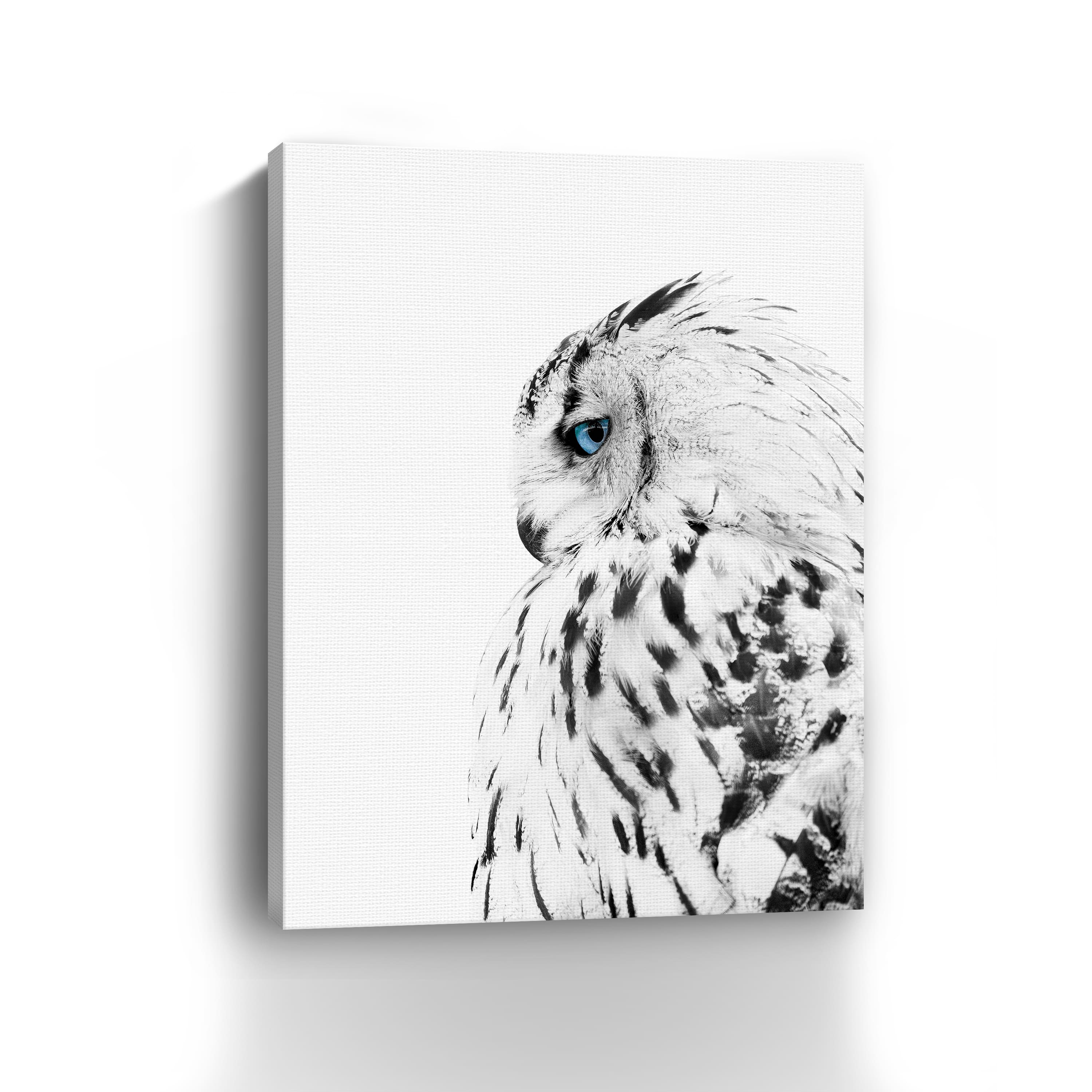 White Owl Canvas Giclee