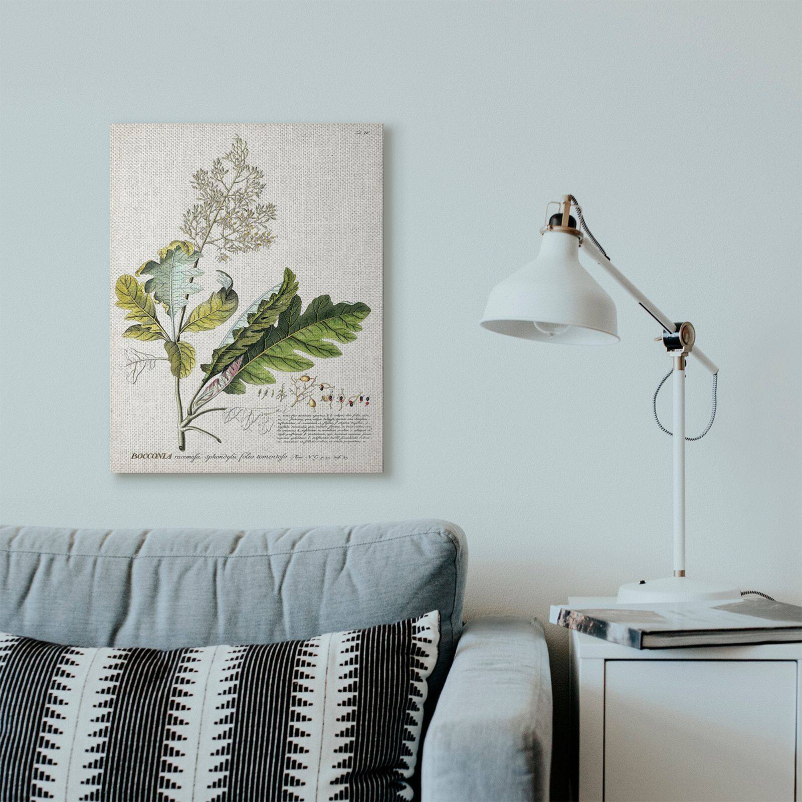 Stupell Industries Vintage Botanical Illustration Canvas Wall Art