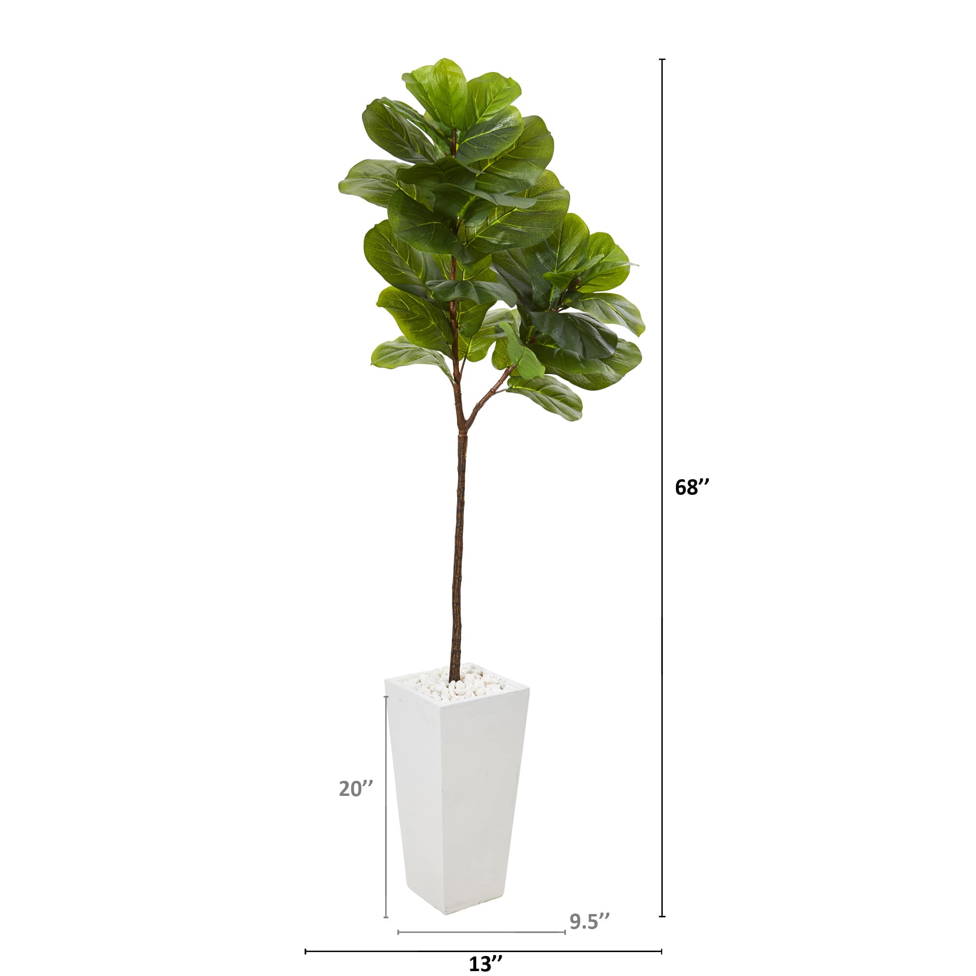 5.5ft. Fiddle Leaf Fig Tree in White Planter