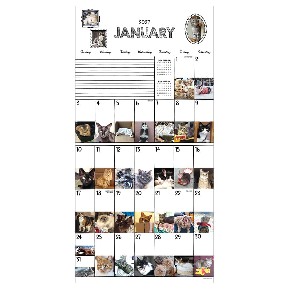 2027 Cat-A-Day Wall Calendar