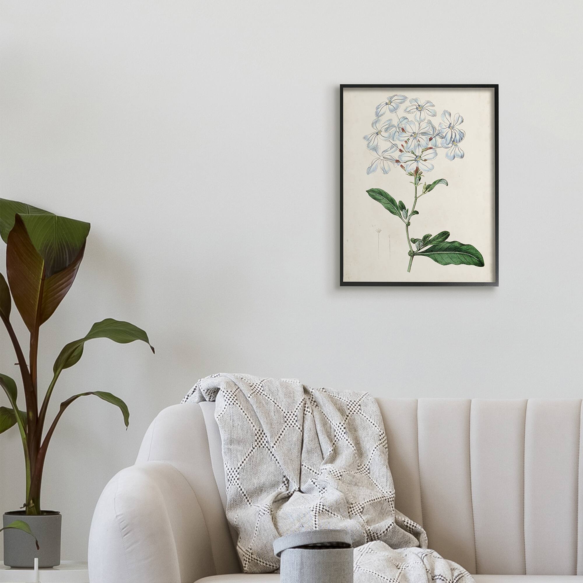 Stupell Industries Rustic Garden Floral Study Charming White Blossoms in Black Frame Wall Art