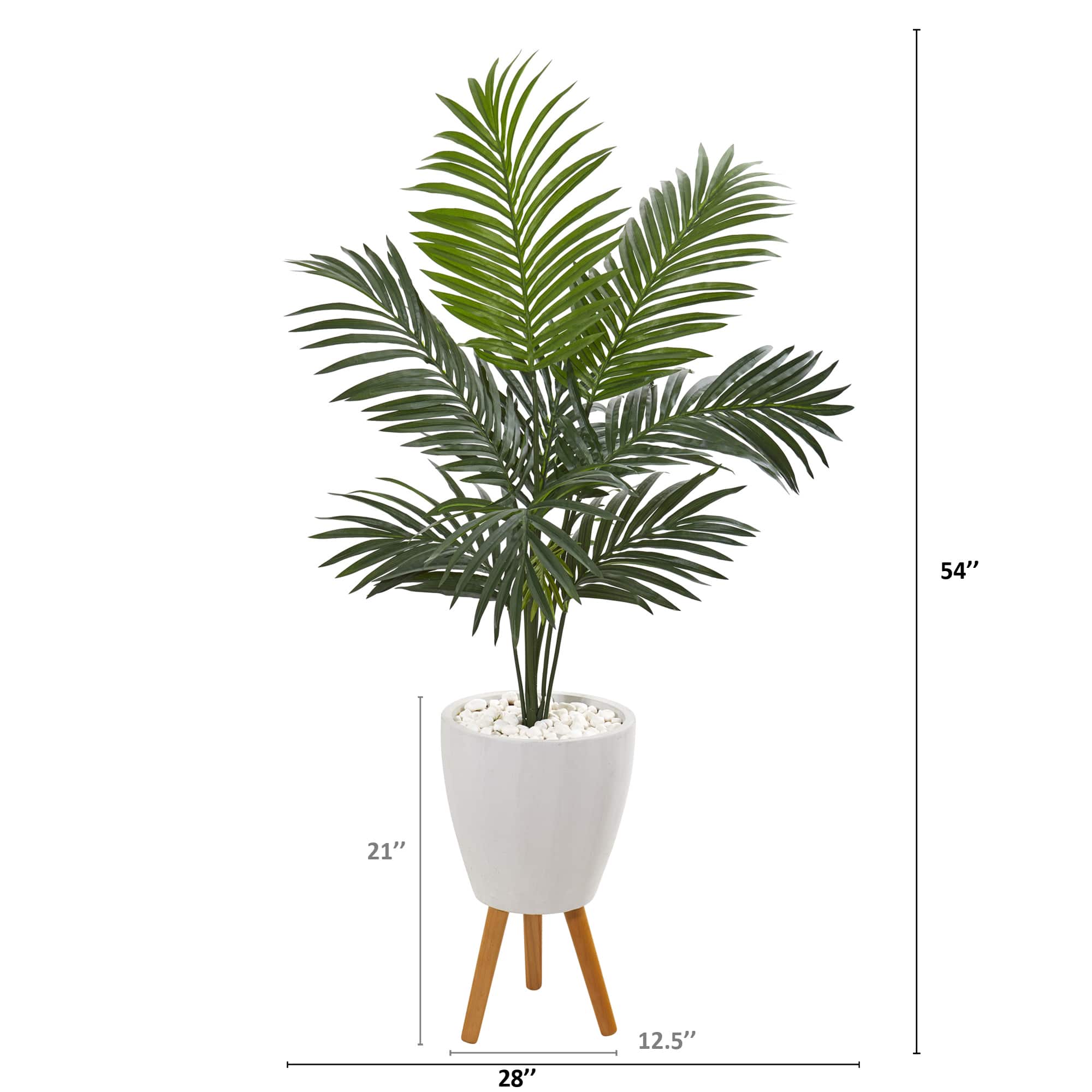 4.5ft. Kentia Palm Tree In White Planter With Legs