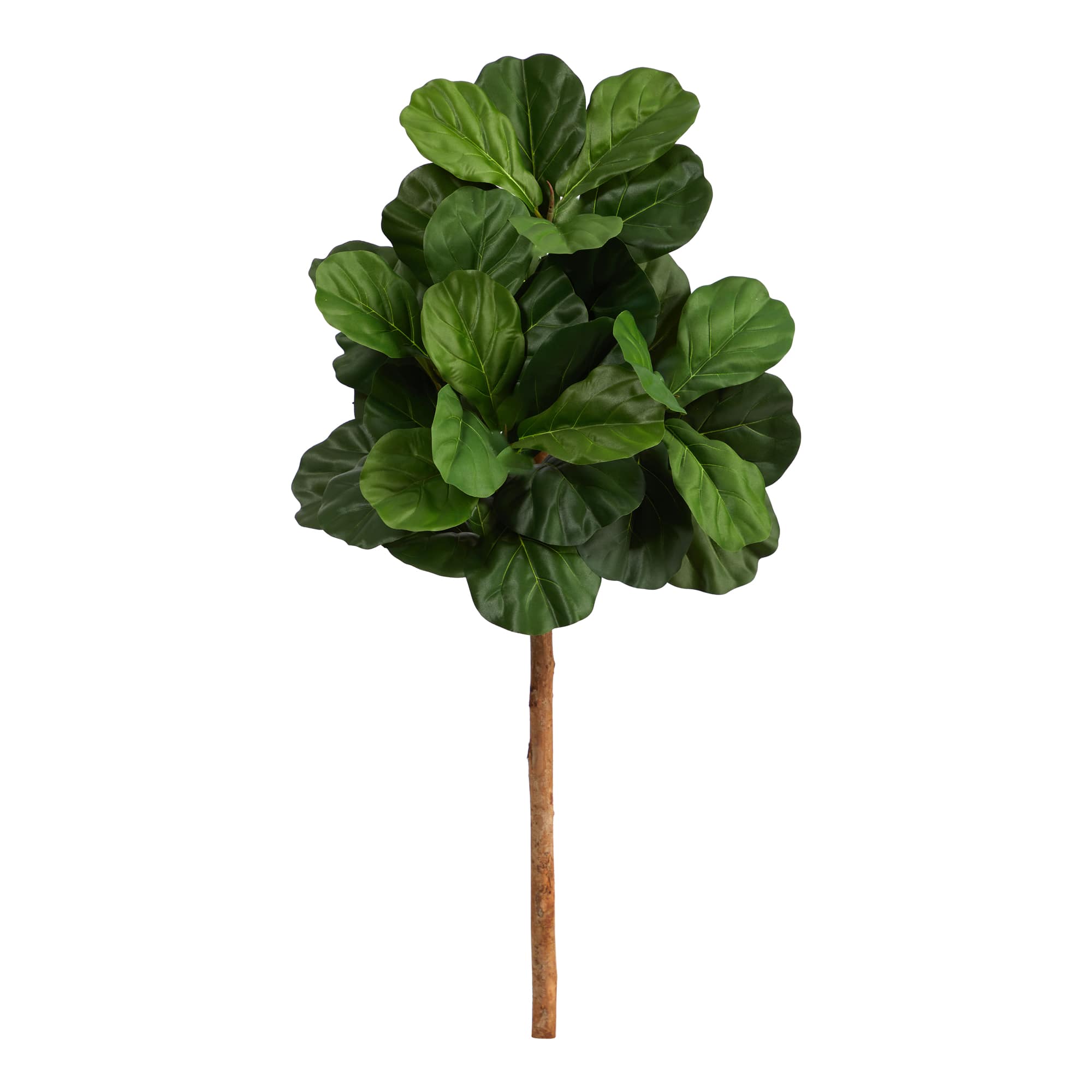 3.5ft. Fiddle Leaf Fig Tree