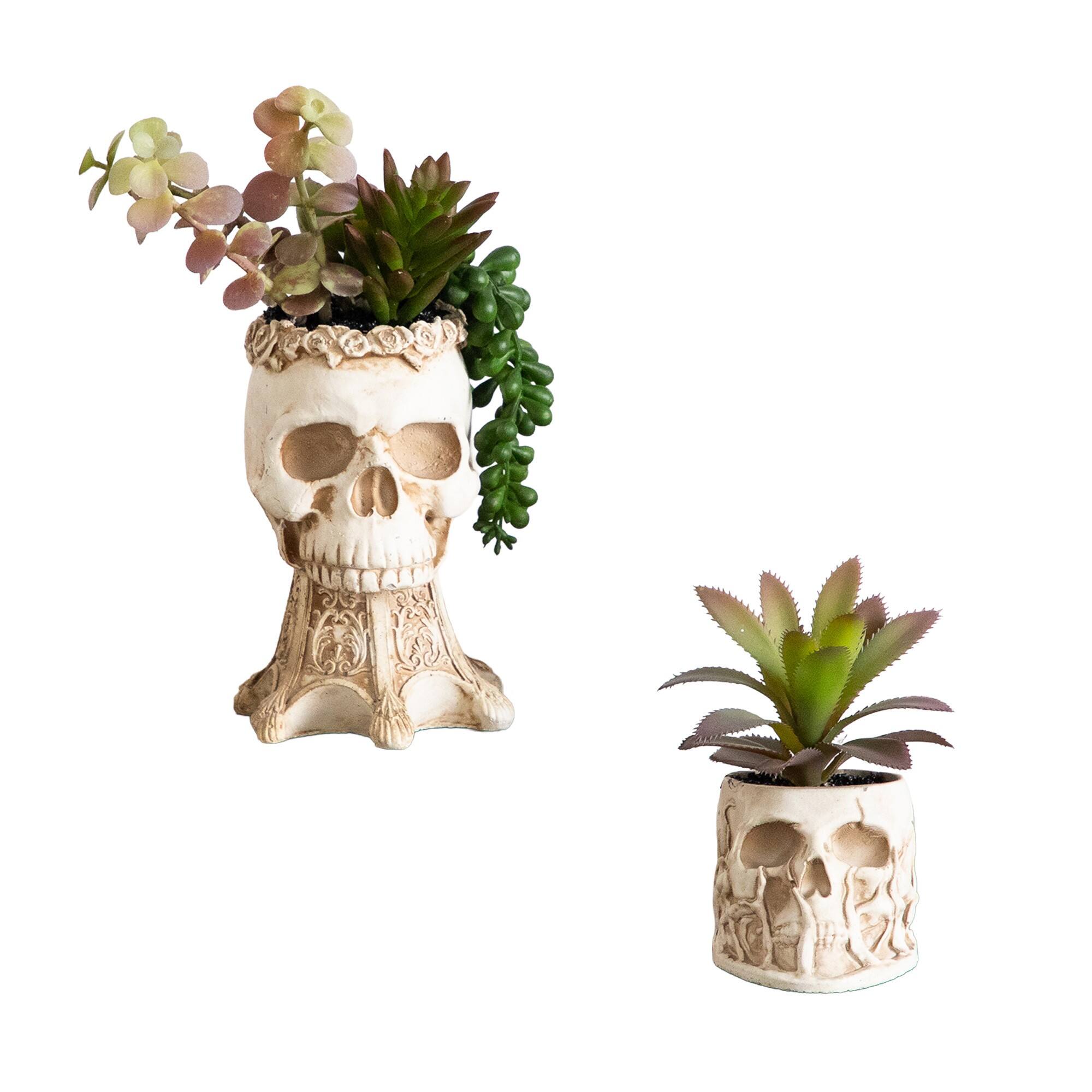 5.5" &  9" Artificial Halloween Succulent Garden in Skull Planters Set