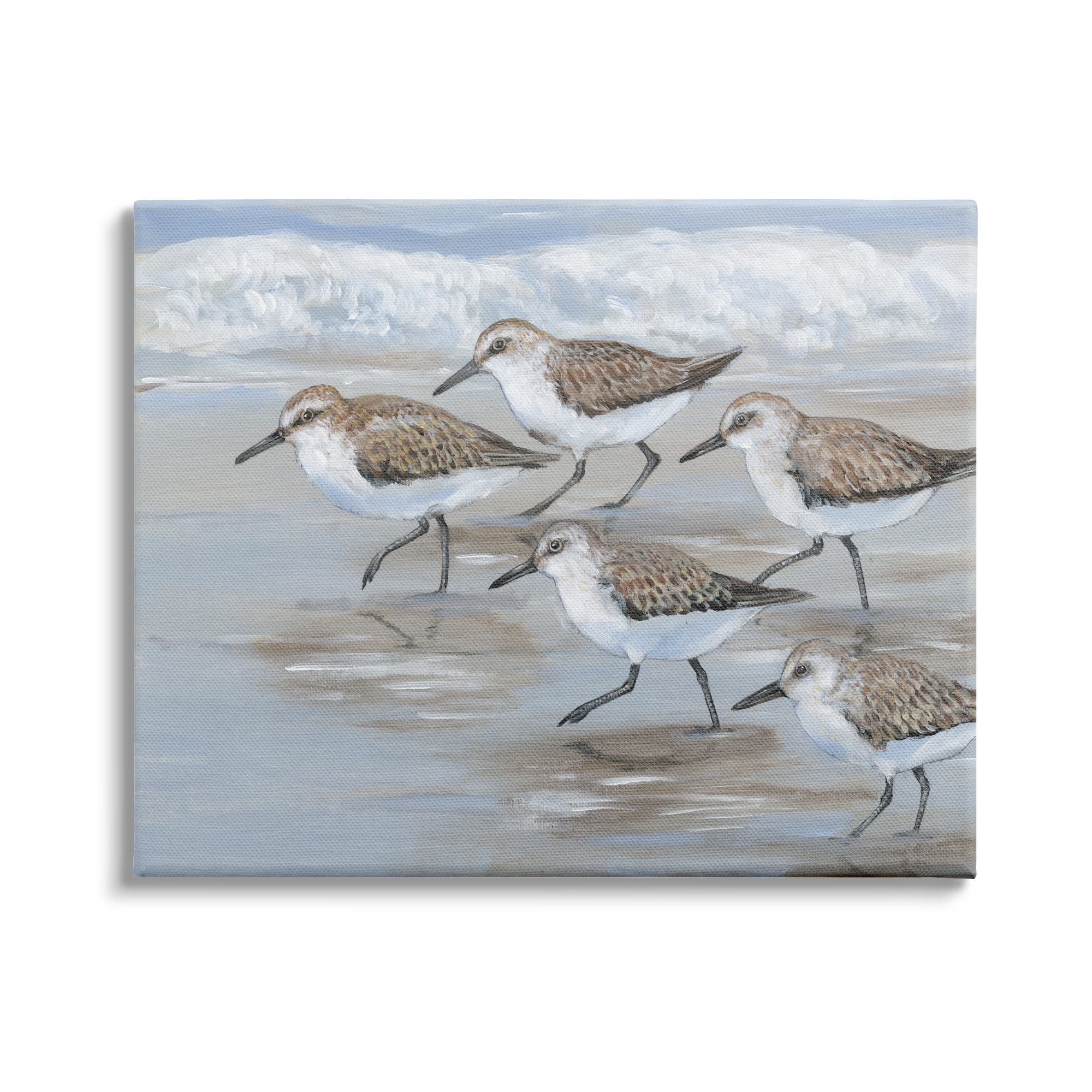 Stupell Industries Sandpiper Bird Flock Marching Beach Coast Waves  Canvas Wall Art