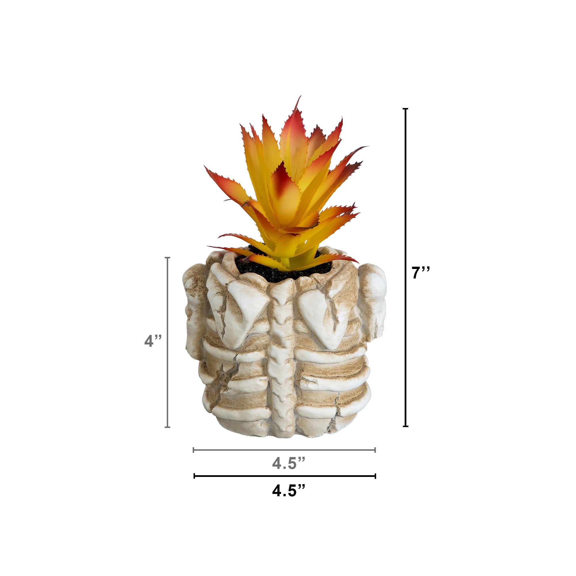 7" Artificial Halloween Succulent Plant in Skeleton Planter