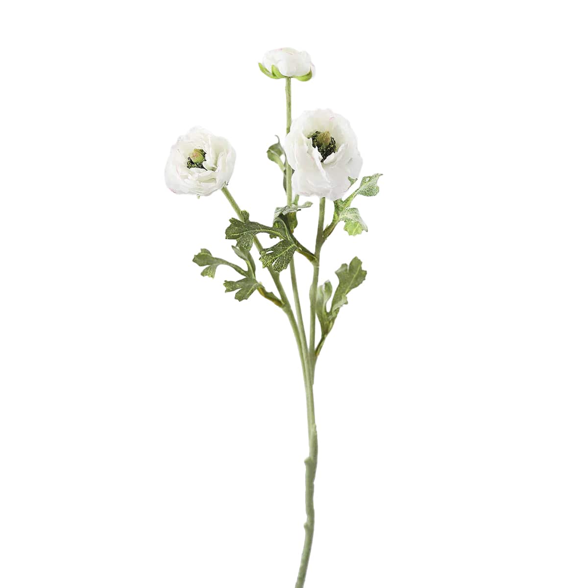 Prestige Botanicals 21.5" Artificial White Ranunculus Stem