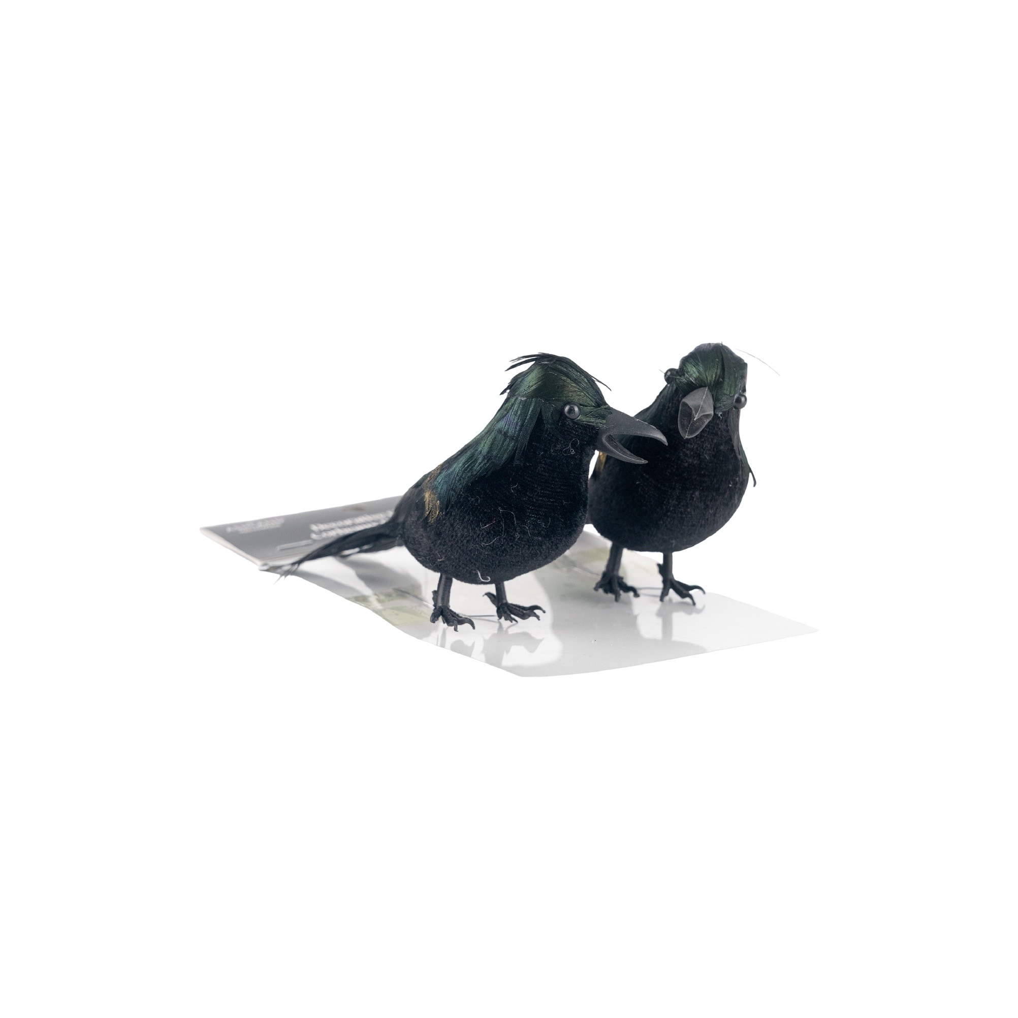 Iridescent Black Crows, 2ct. by Ashland®