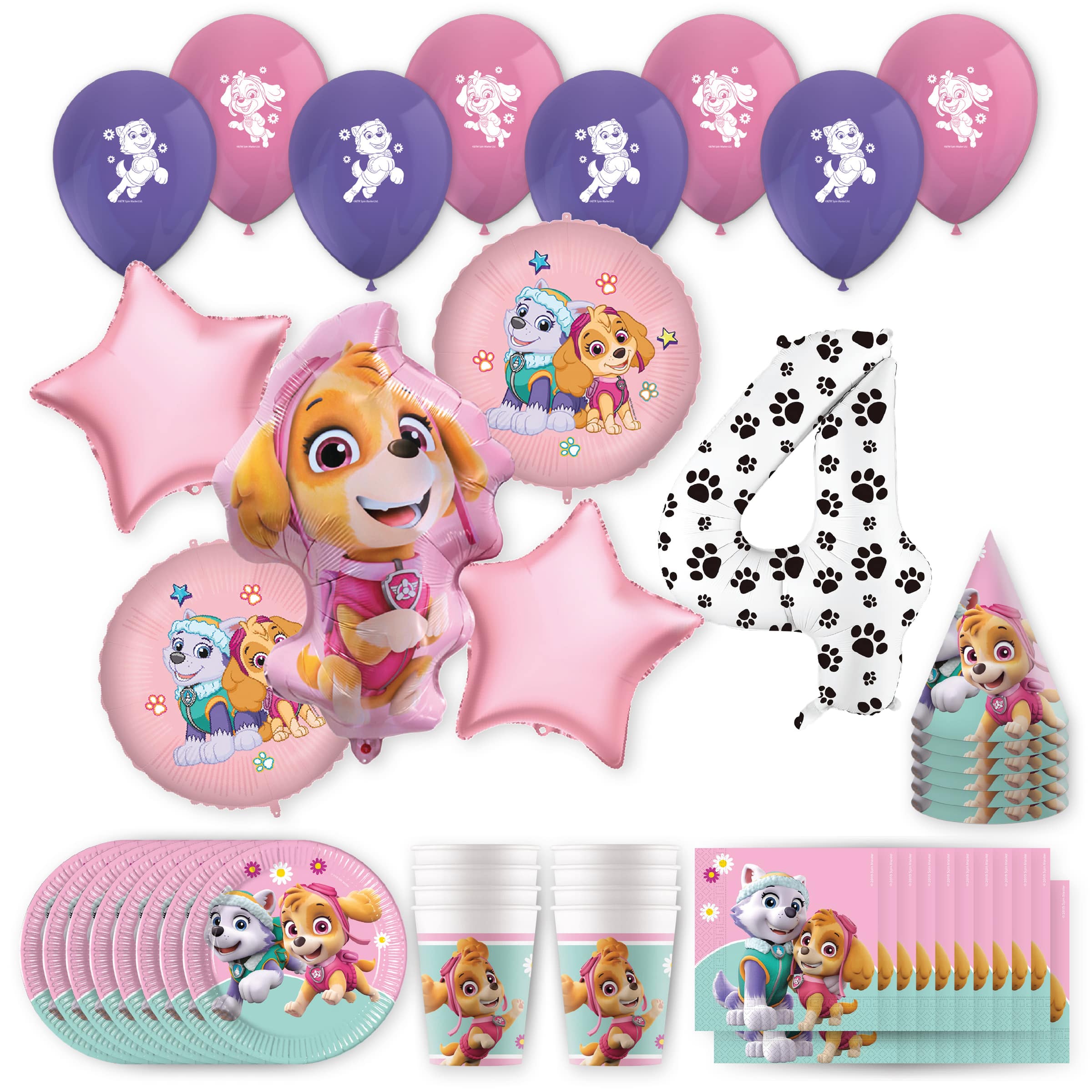 PAW Patrol™ Skye & Everest Birthday Party Kit with Number