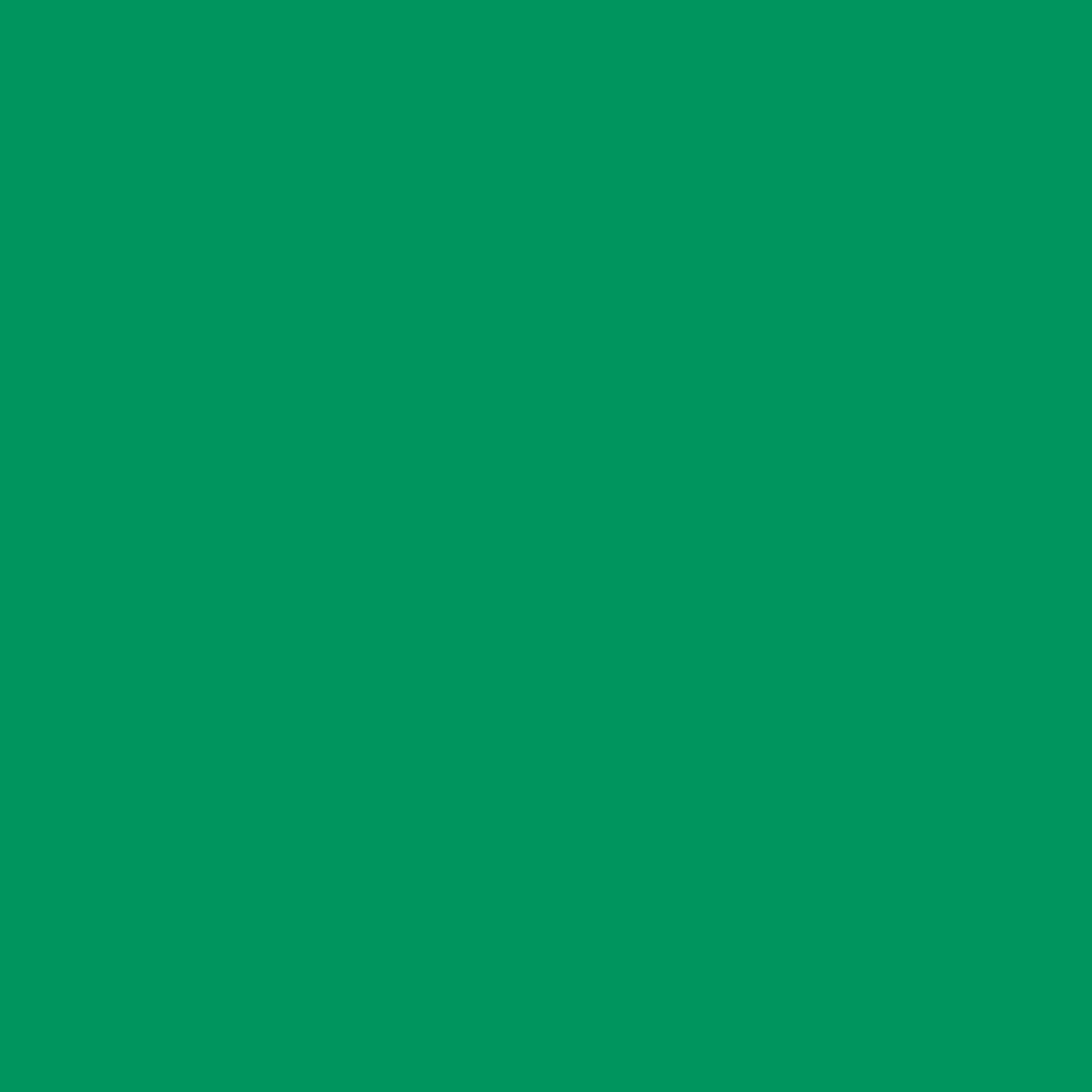 12 Pack: Brush-On Fabric Paint by Make Market
