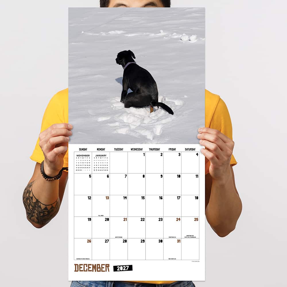 2027 Pooping Dogs Wall Calendar